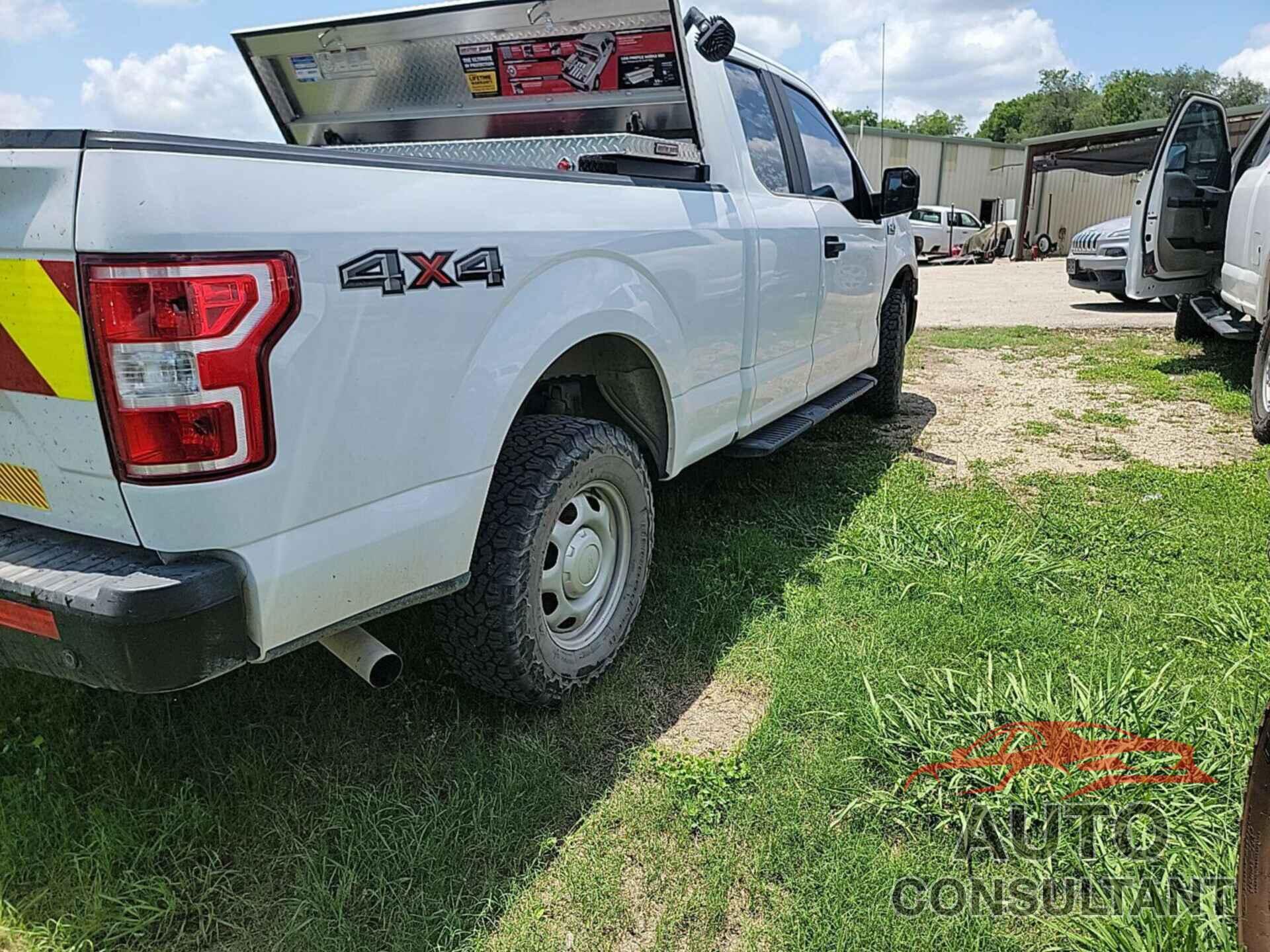 FORD F150 2019 - 1FTFX1E5XKKD18604