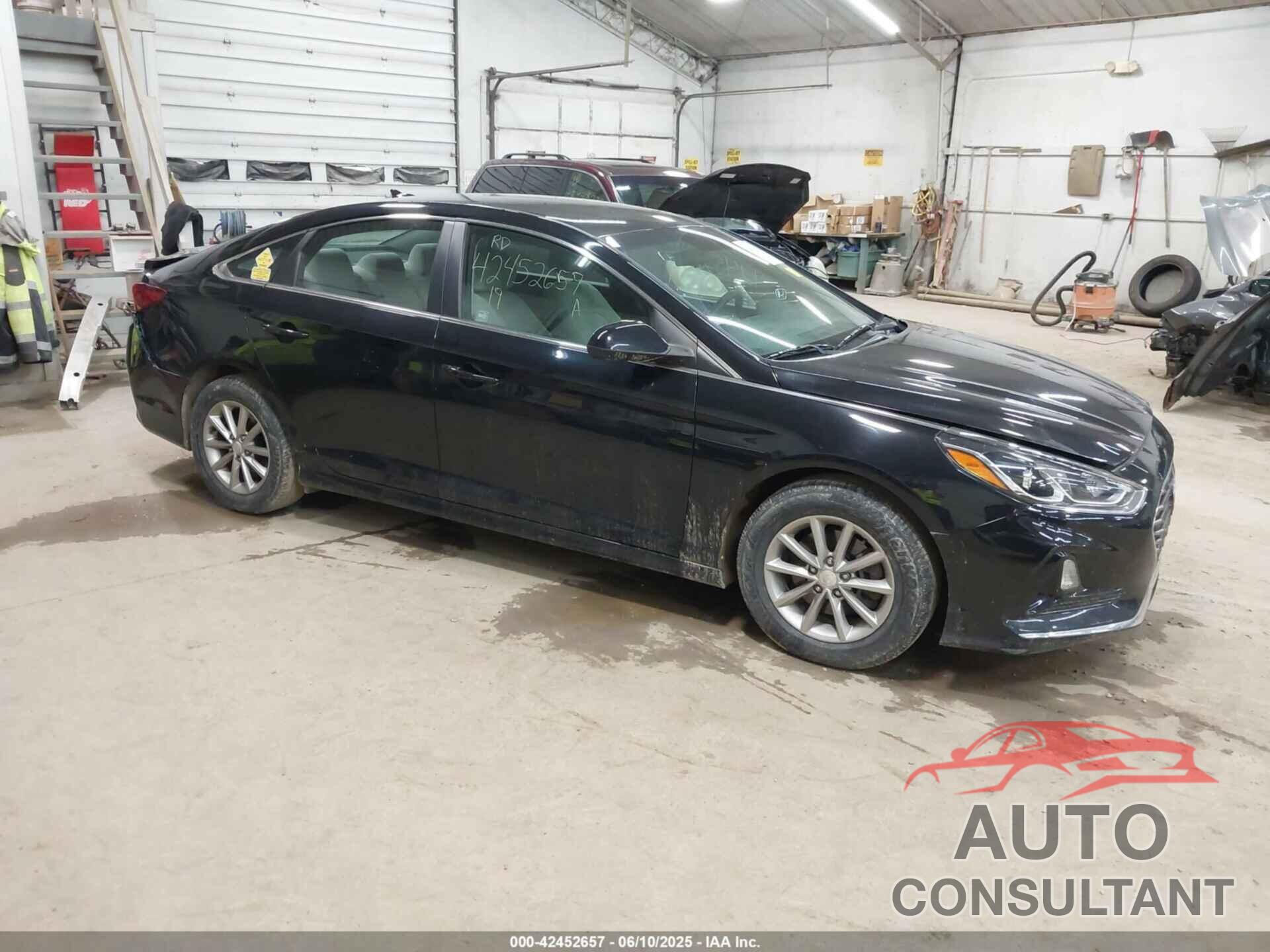 HYUNDAI SONATA 2019 - 5NPE24AF1KH785659