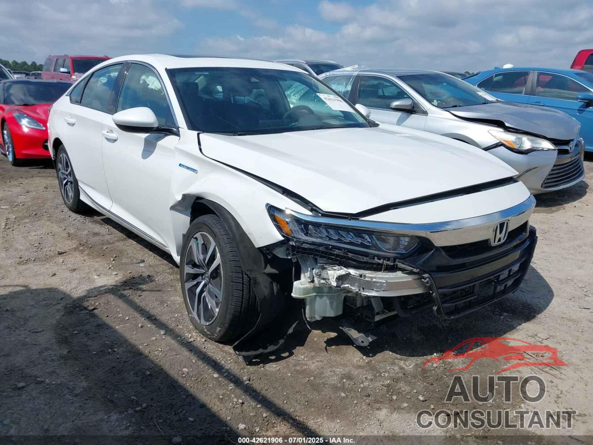 HONDA ACCORD 2019 - 1HGCV3F46KA013862