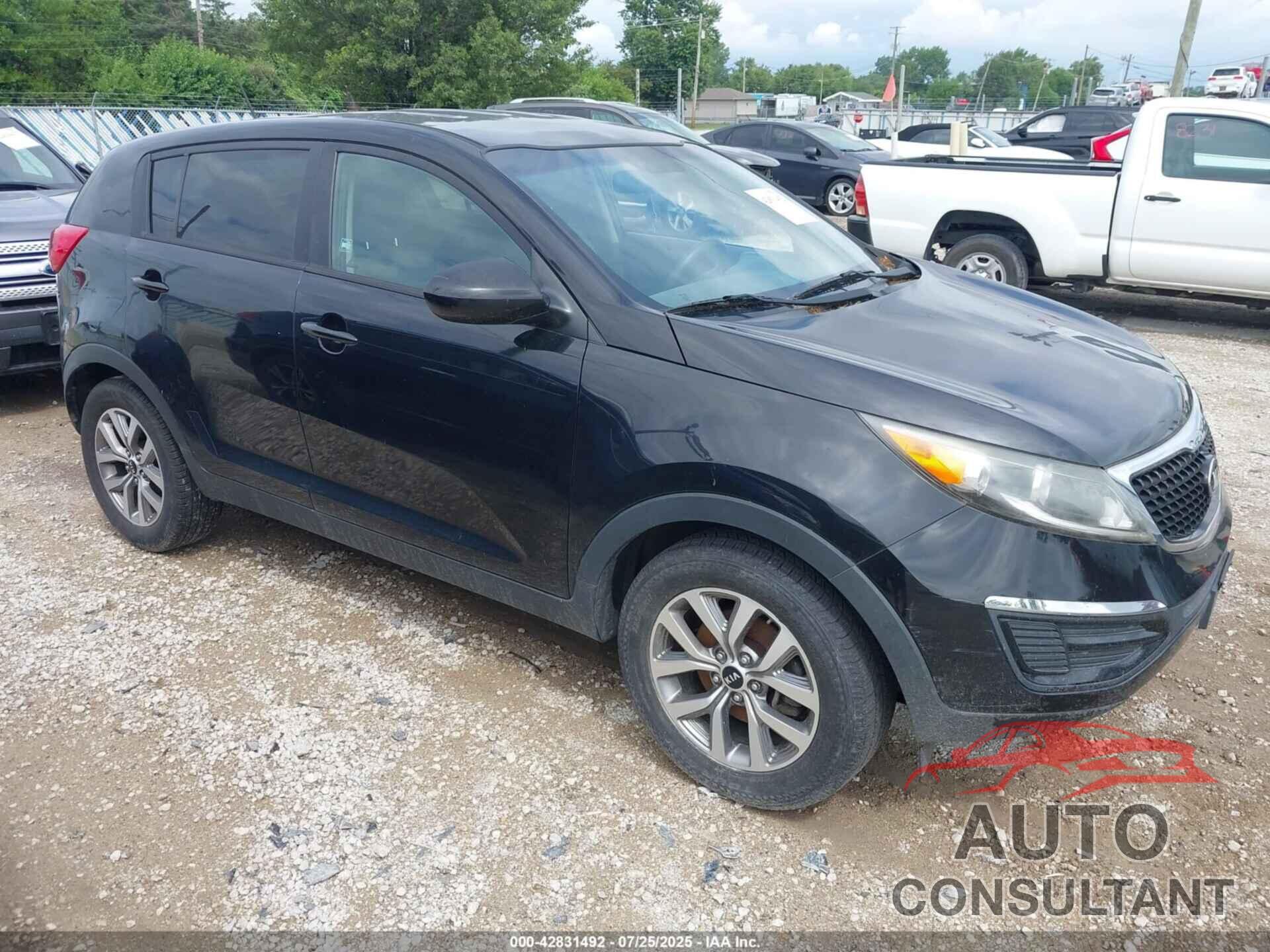 KIA SPORTAGE 2016 - KNDPB3AC9G7805807