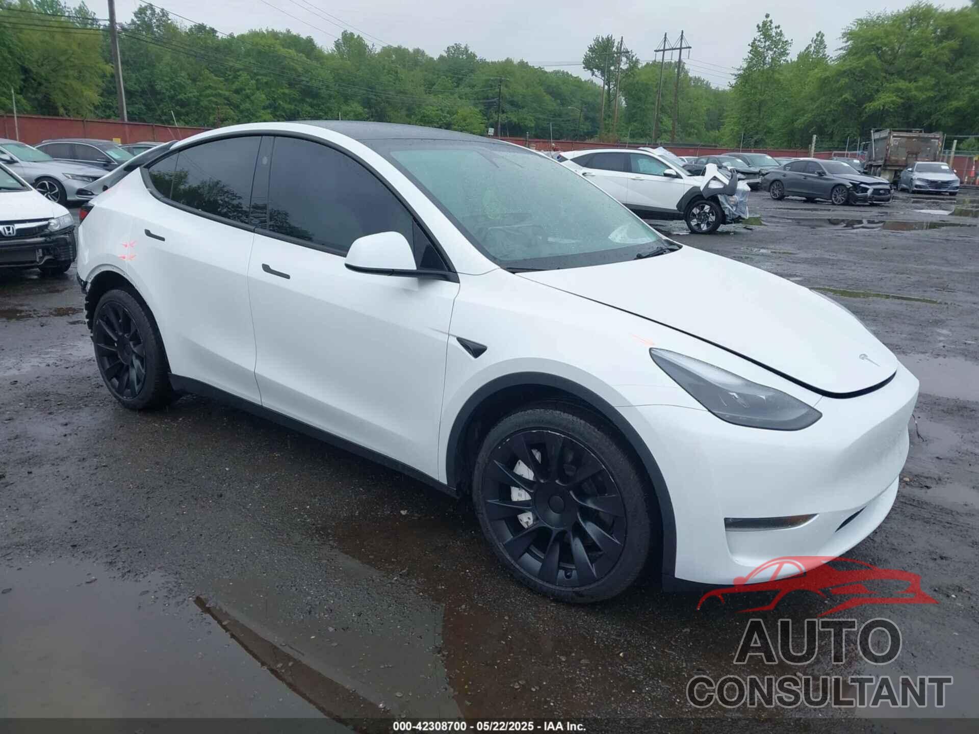 TESLA MODEL Y 2023 - 7SAYGDEE8PA172217