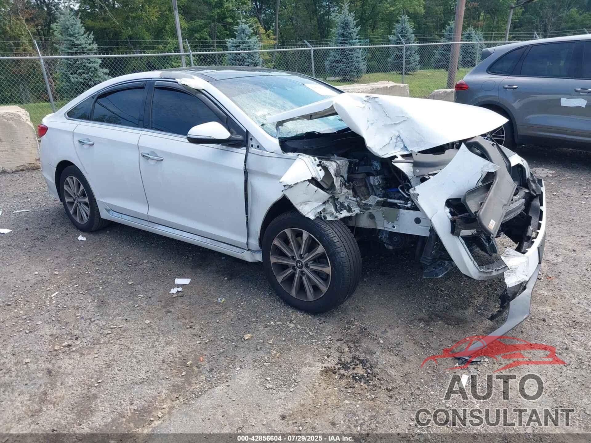 HYUNDAI SONATA 2016 - 5NPE34AF8GH432811