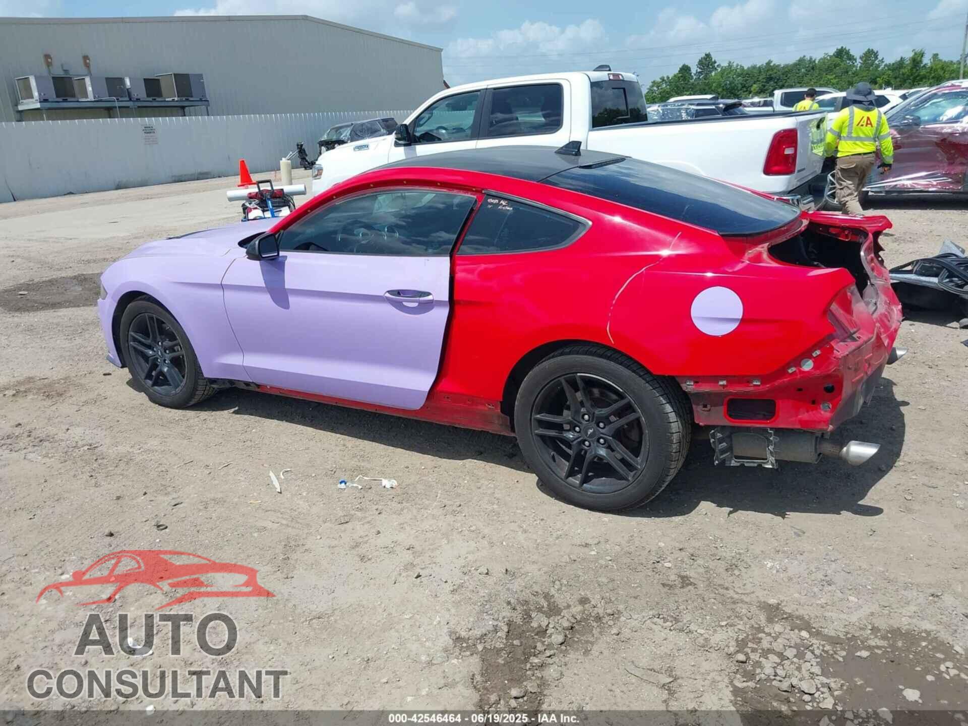 FORD MUSTANG 2021 - 1FA6P8TH2M5101061