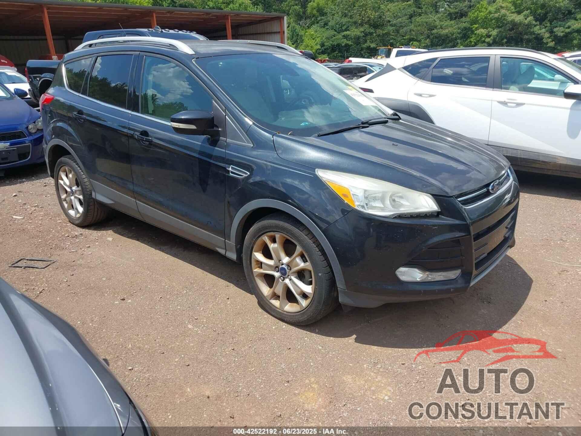 FORD ESCAPE 2014 - 1FMCU0JX2EUC64541