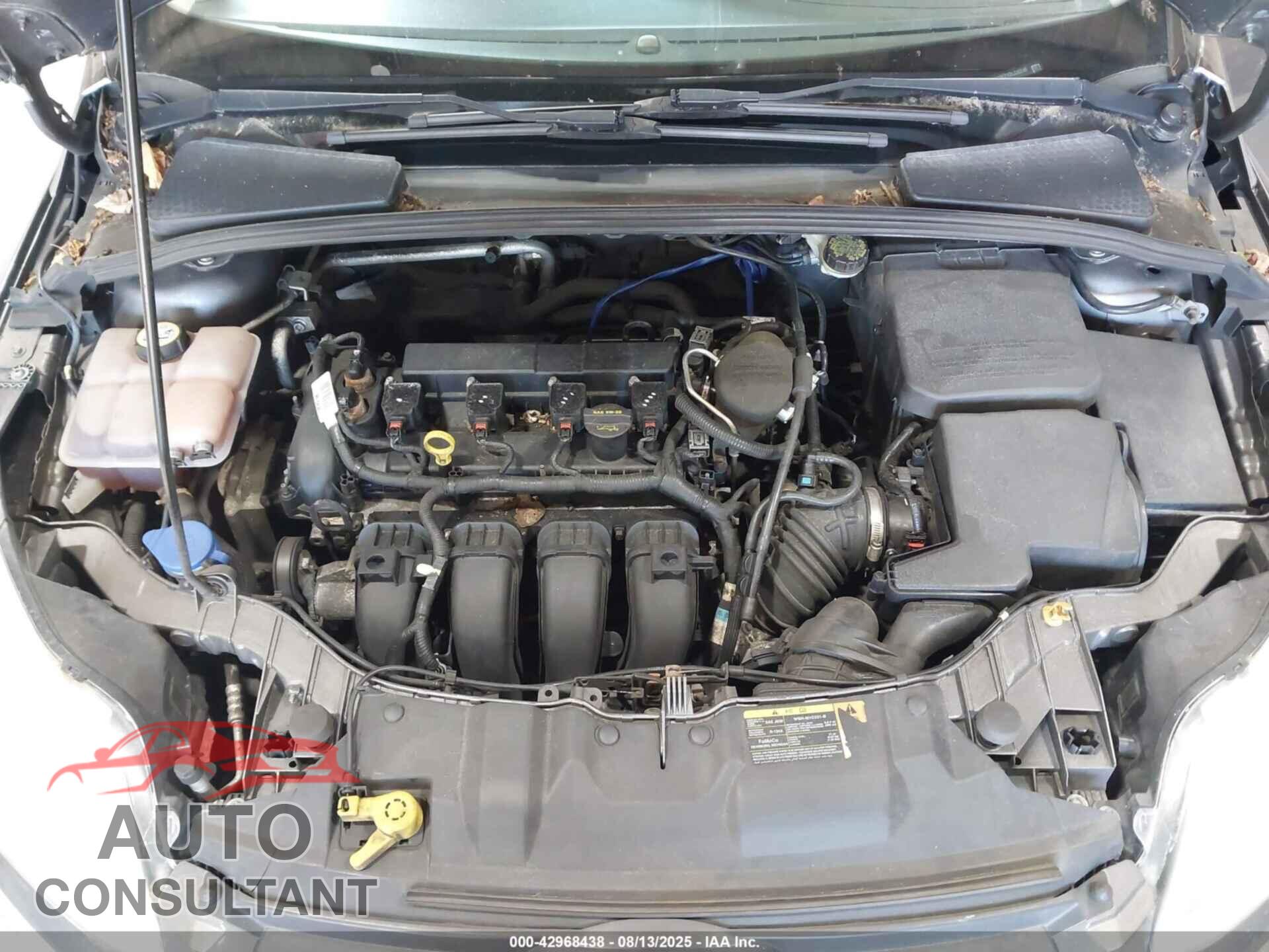 FORD FOCUS 2013 - 1FADP3F21DL330246