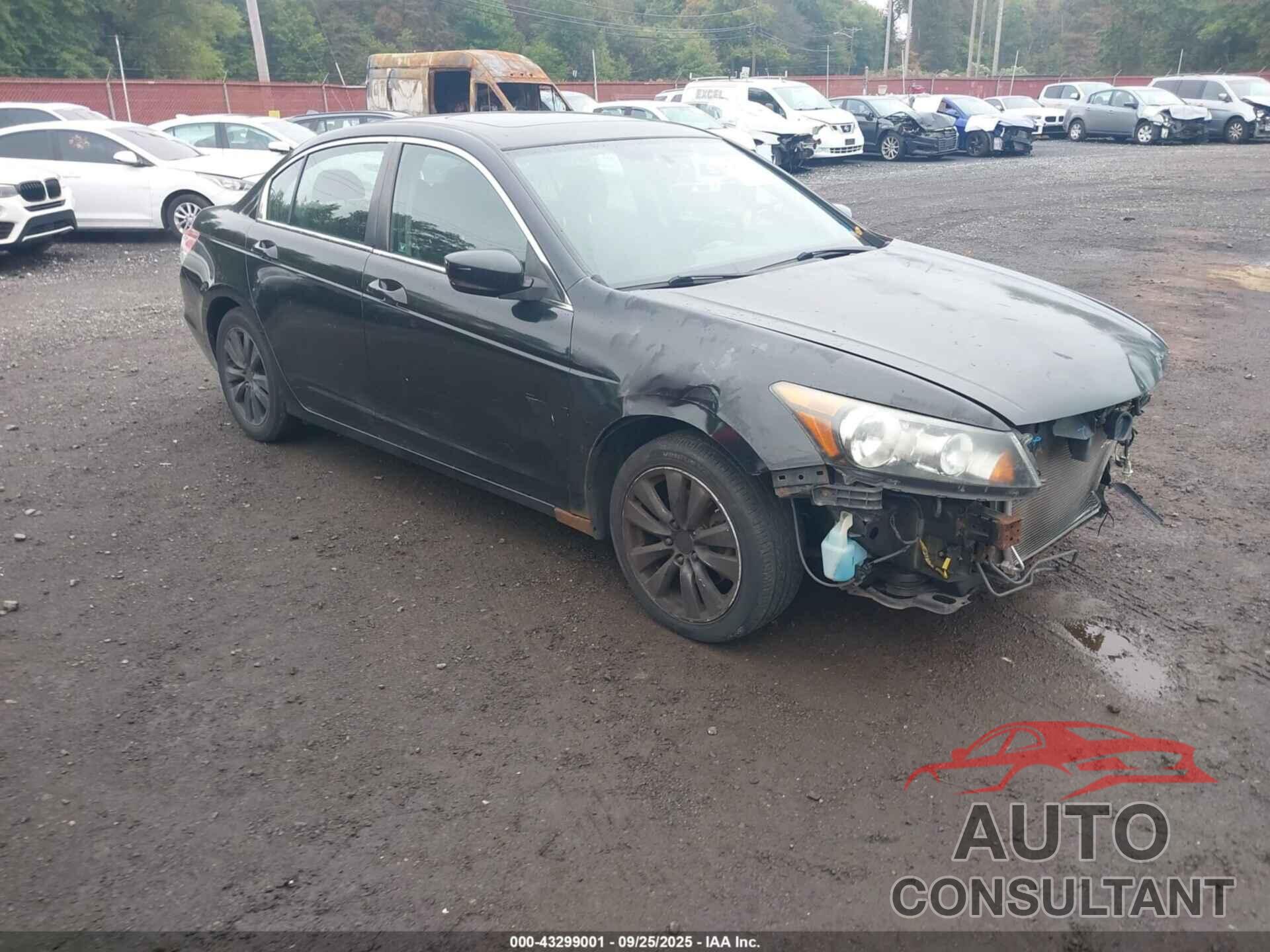 HONDA ACCORD 2011 - 1HGCP2F74BA024776