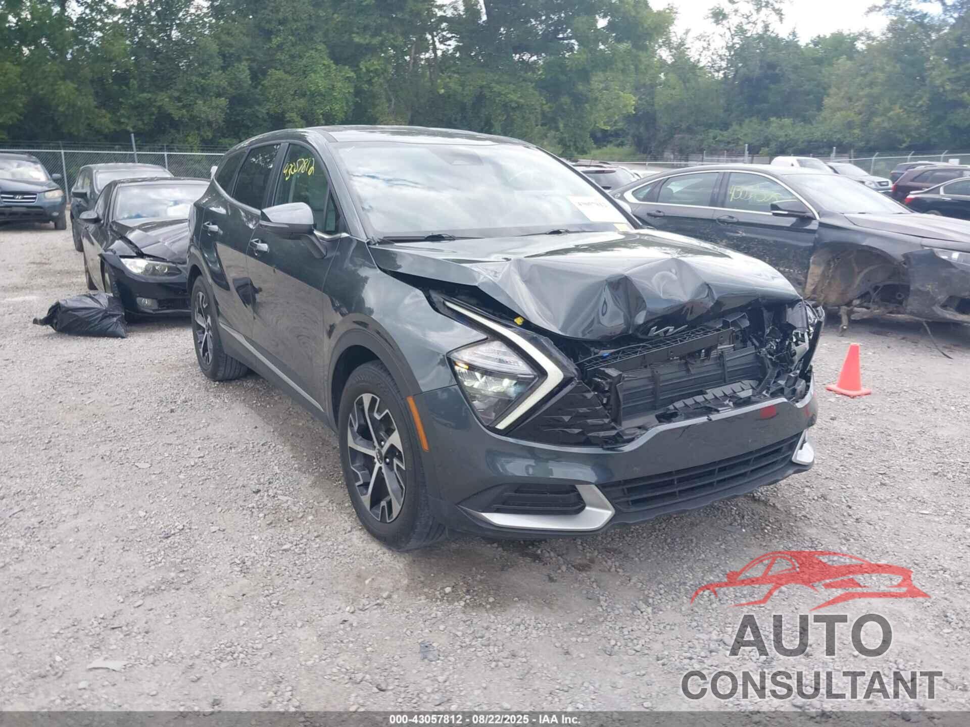 KIA SPORTAGE 2023 - 5XYK33AF6PG023338