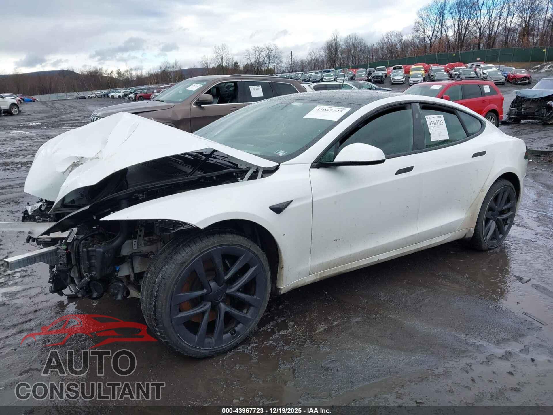 TESLA MODEL S 2023 - 5YJSA1E50PF501868
