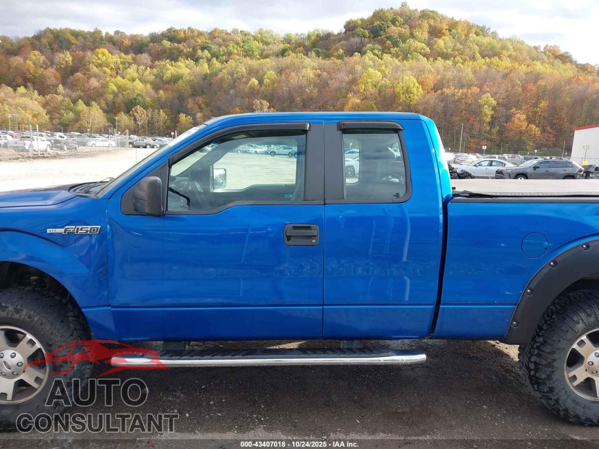 FORD F-150 2013 - 1FTFX1EF2DFD70202