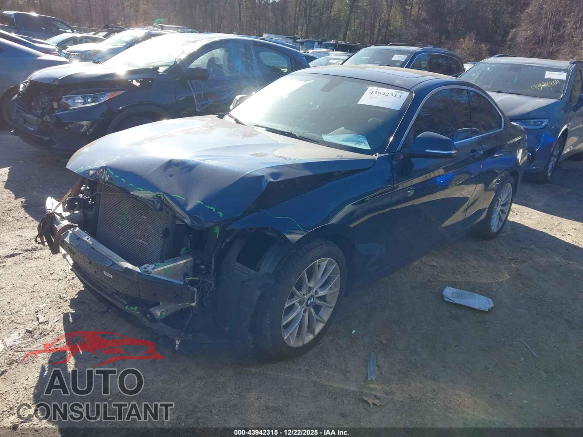 BMW 228I 2015 - WBA1F7C57FV367571