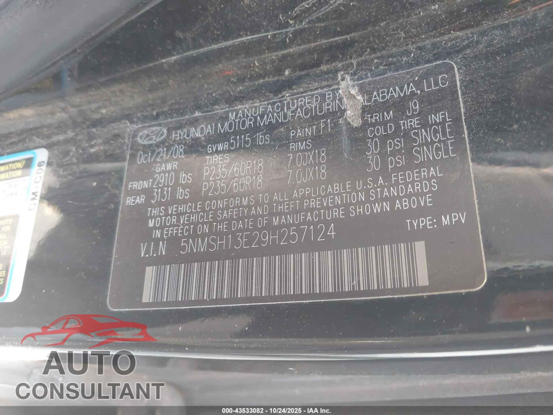 HYUNDAI SANTA FE 2009 - 5NMSH13E29H257124