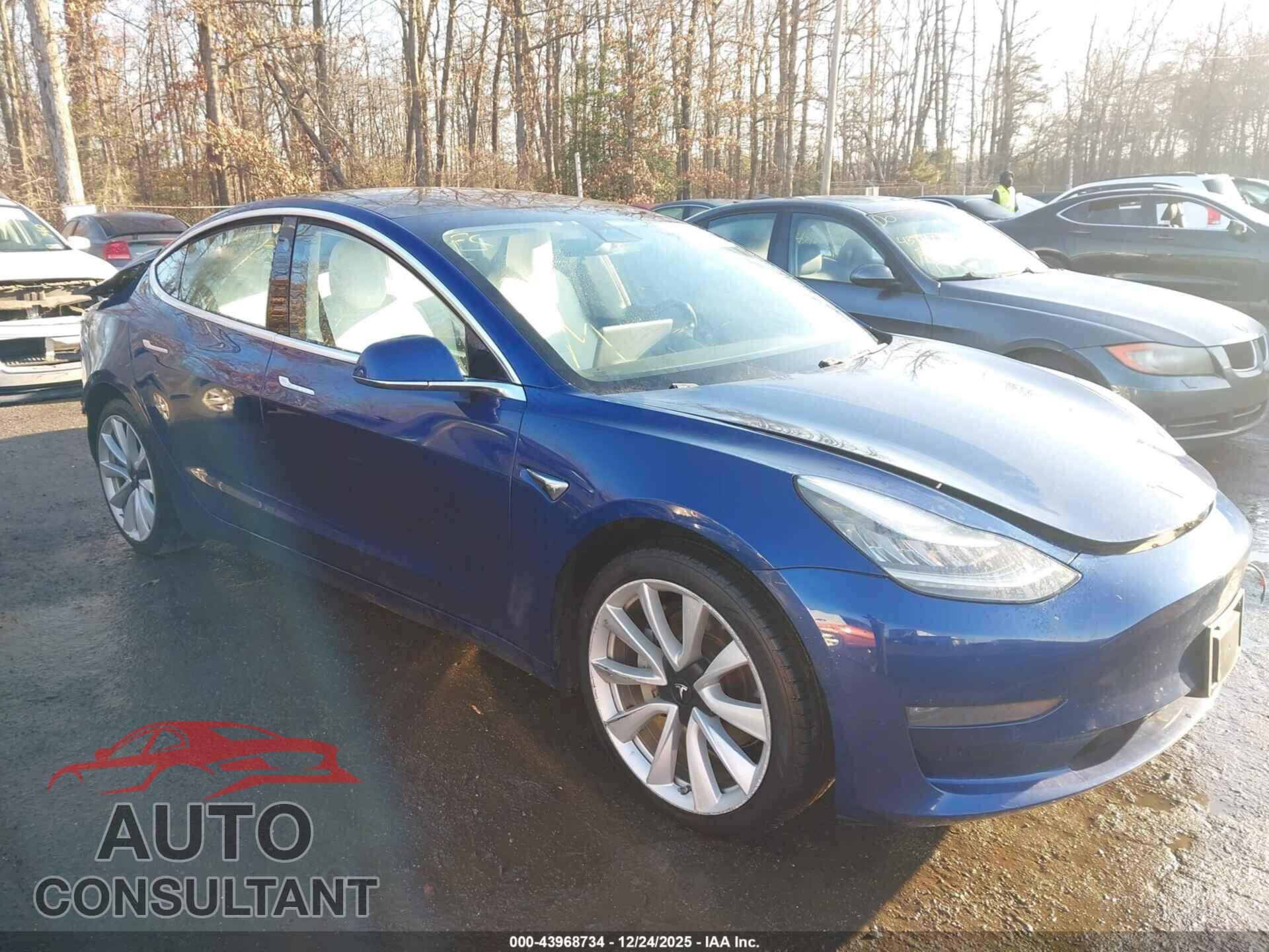 TESLA MODEL 3 2019 - 5YJ3E1EB9KF482275