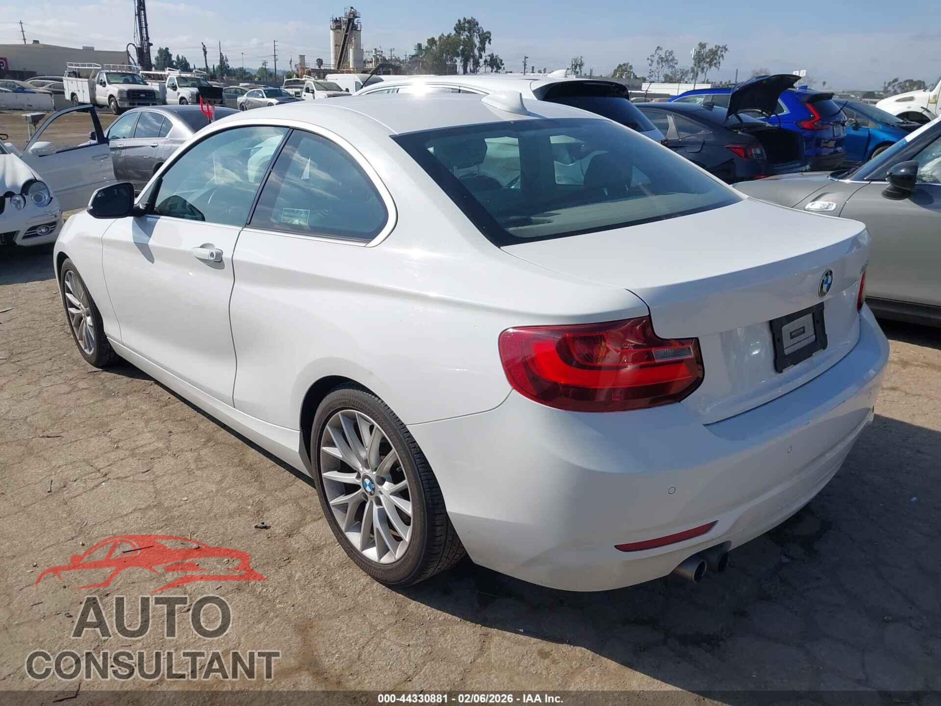 BMW 228I 2014 - WBA1F5C59EVV99365
