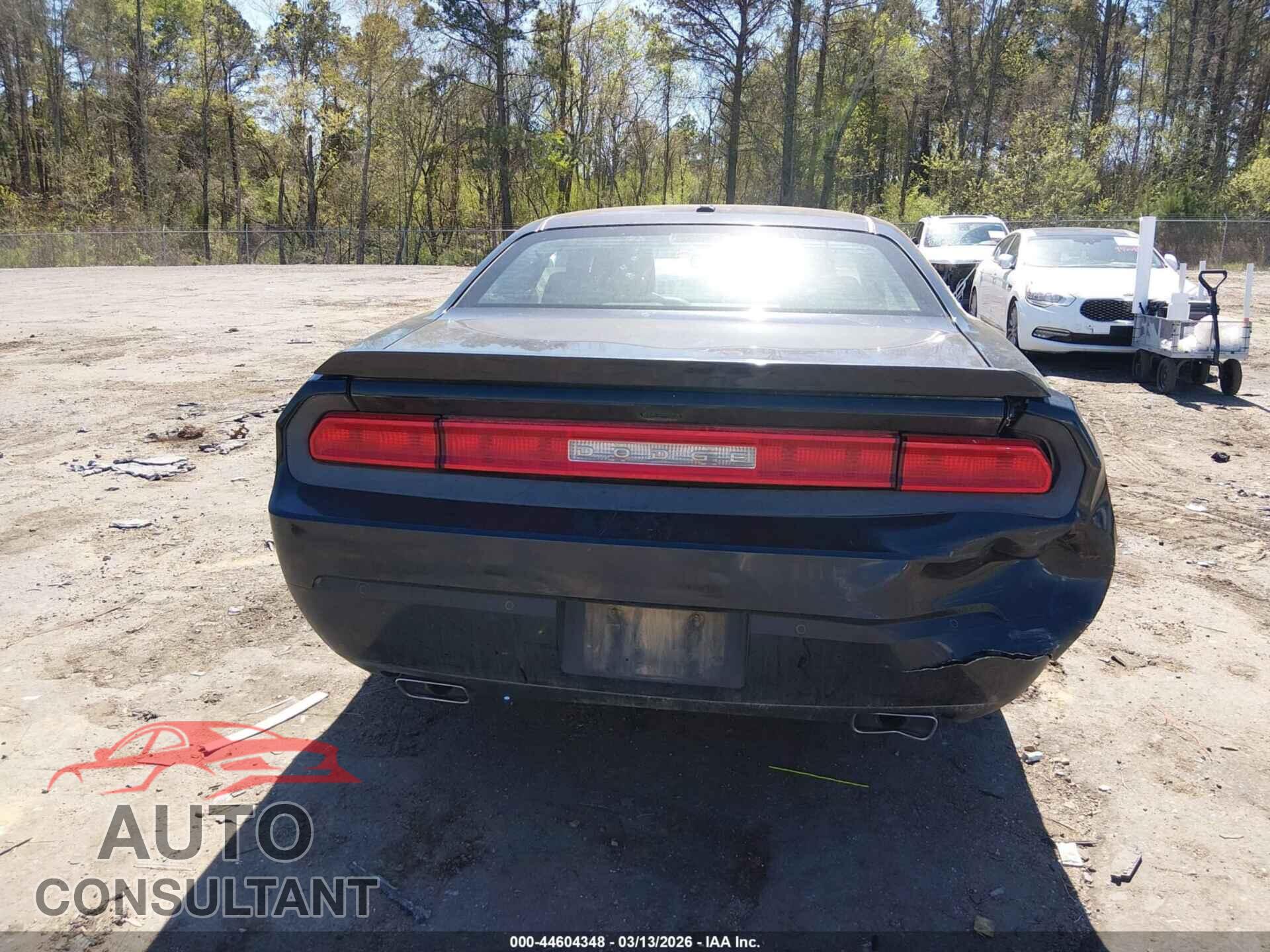 DODGE CHALLENGER 2014 - 2C3CDYAG5EH111999
