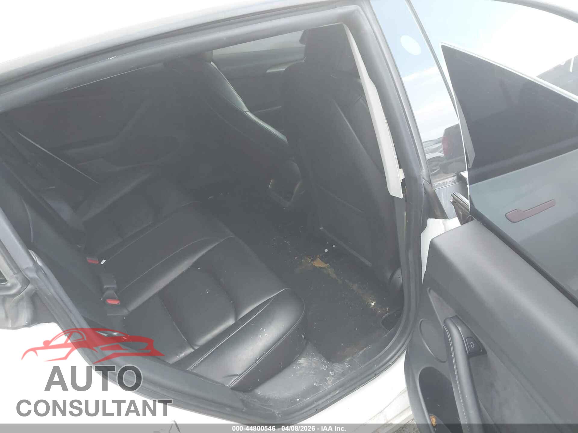TESLA MODEL 3 2021 - 5YJ3E1EA2MF017346