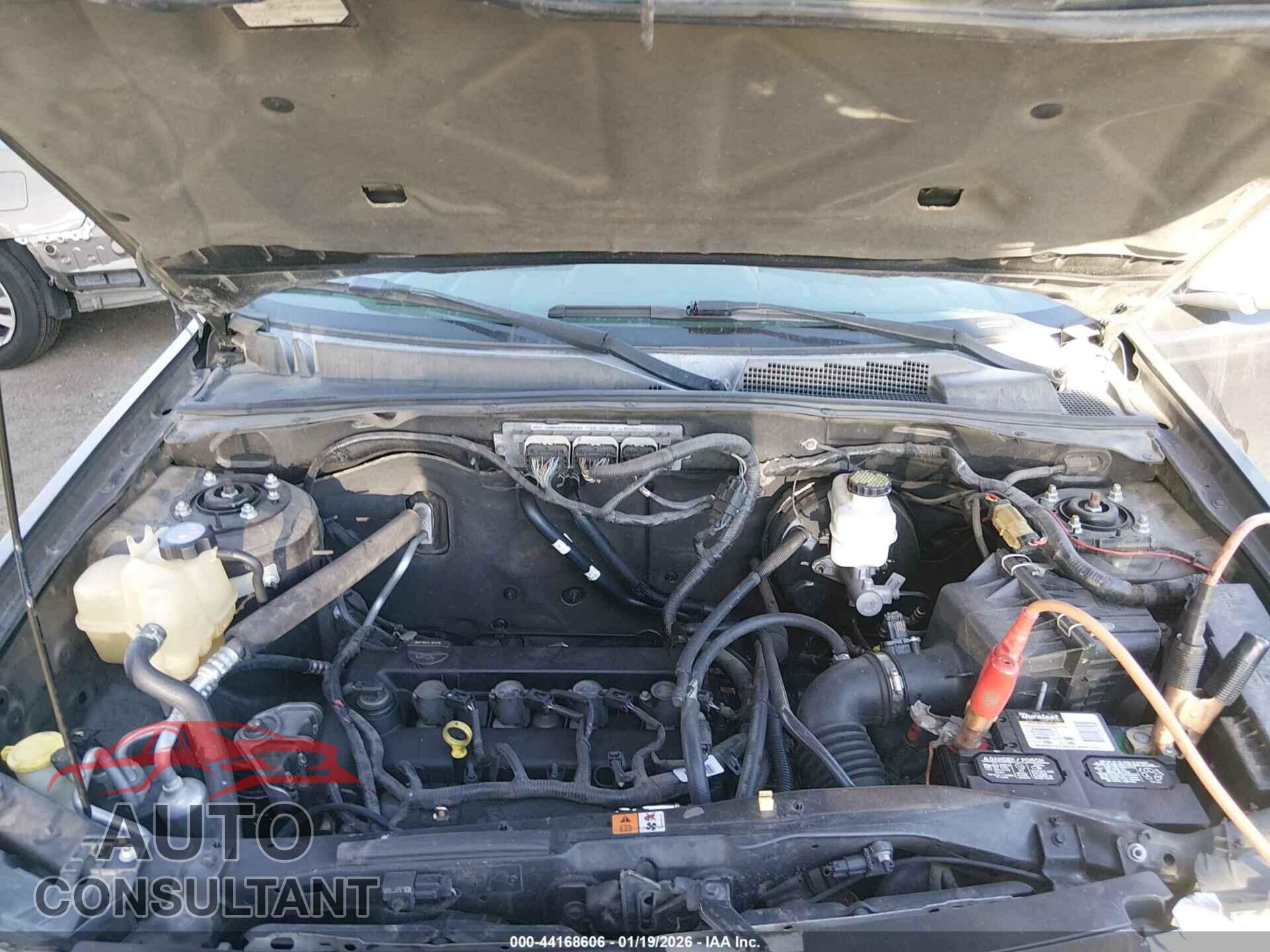 FORD ESCAPE 2010 - 1FMCU0D74AKB92162