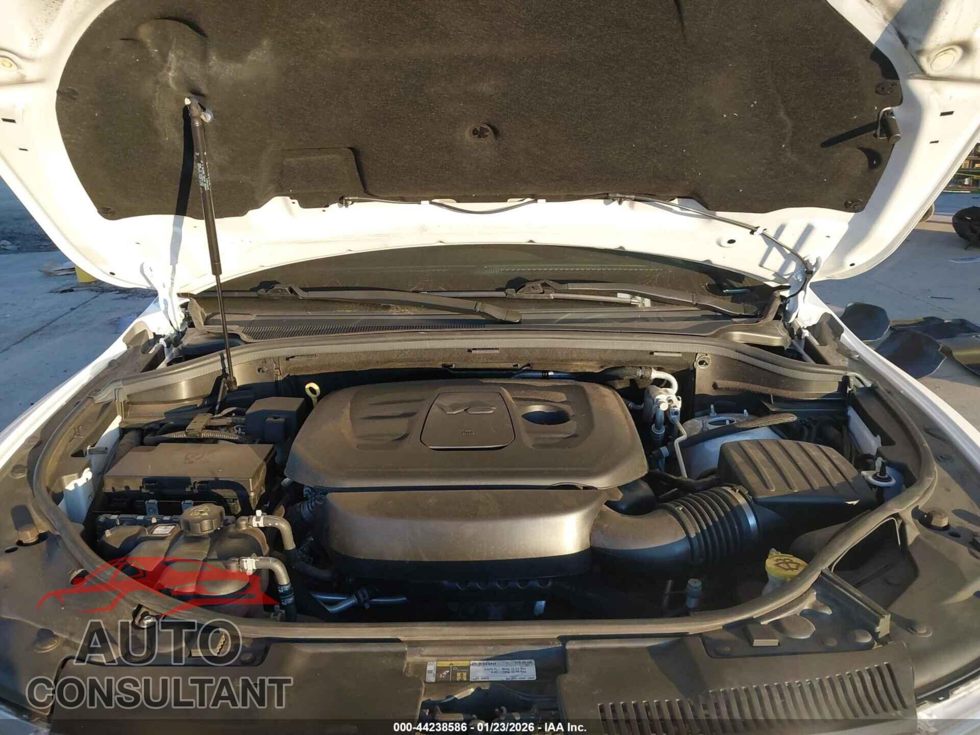 DODGE DURANGO 2019 - 1C4RDJEG2KC738259