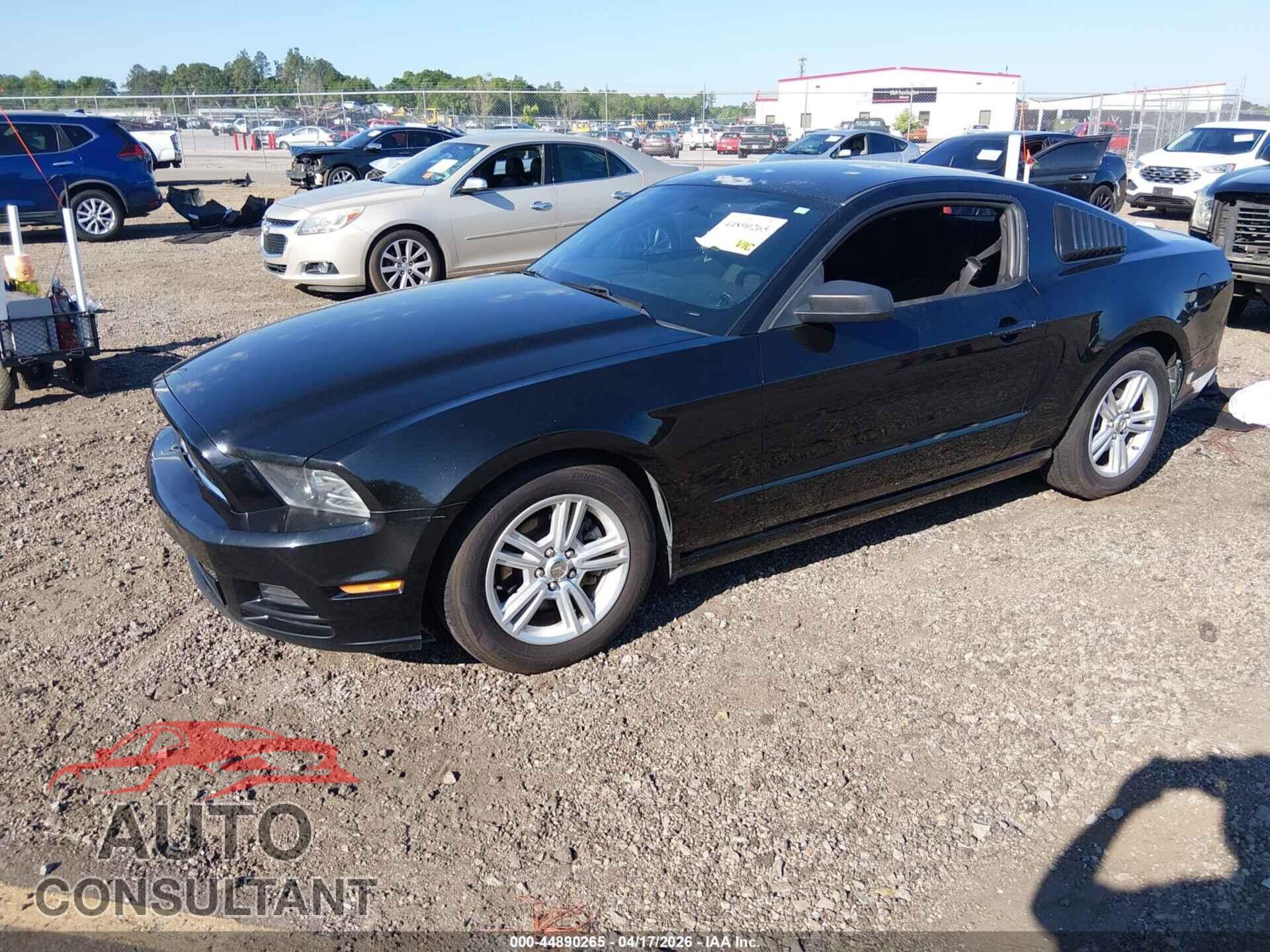 FORD MUSTANG 2014 - 1ZVBP8AM2E5295825