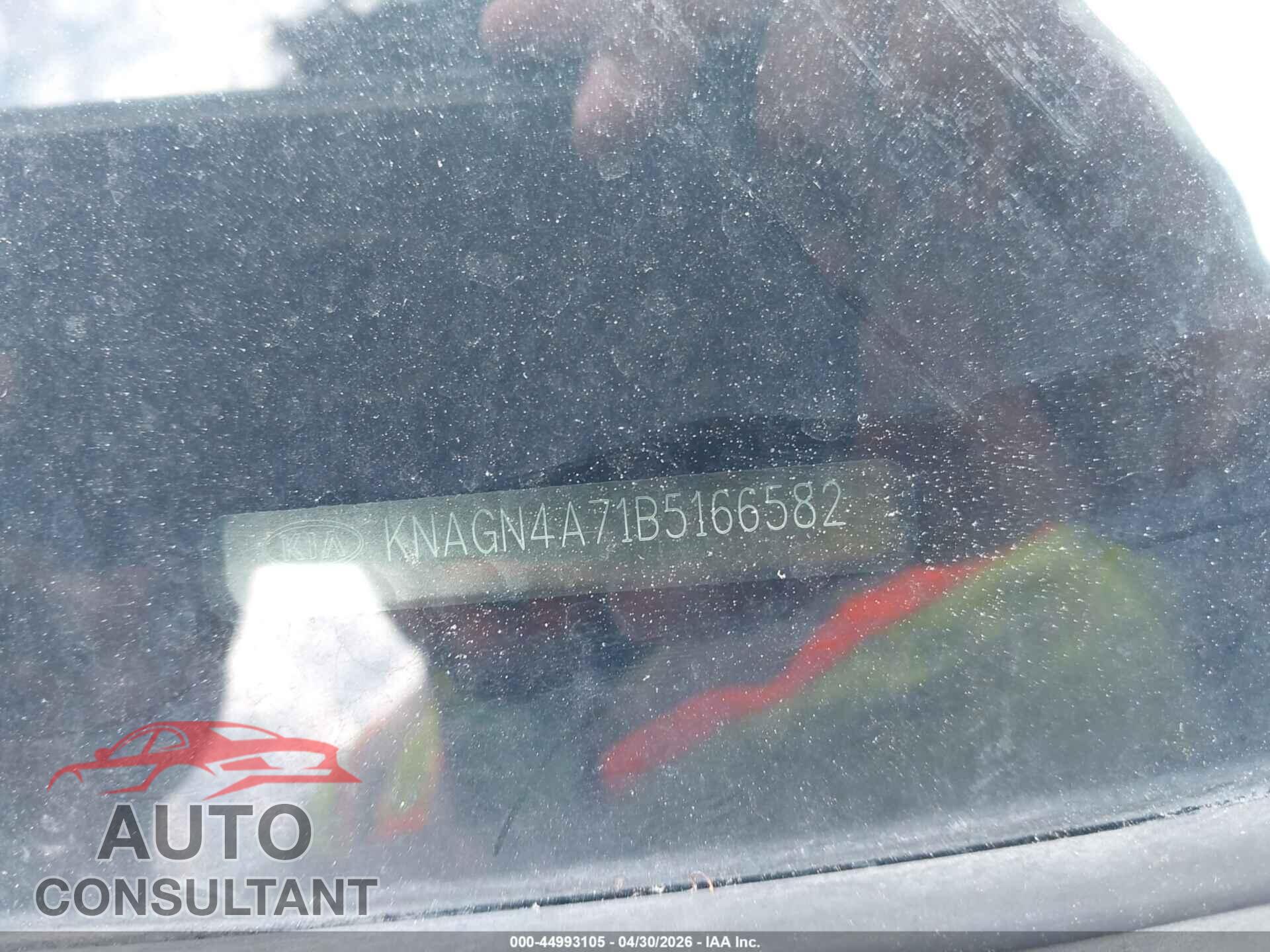 KIA OPTIMA 2011 - KNAGN4A71B5166582