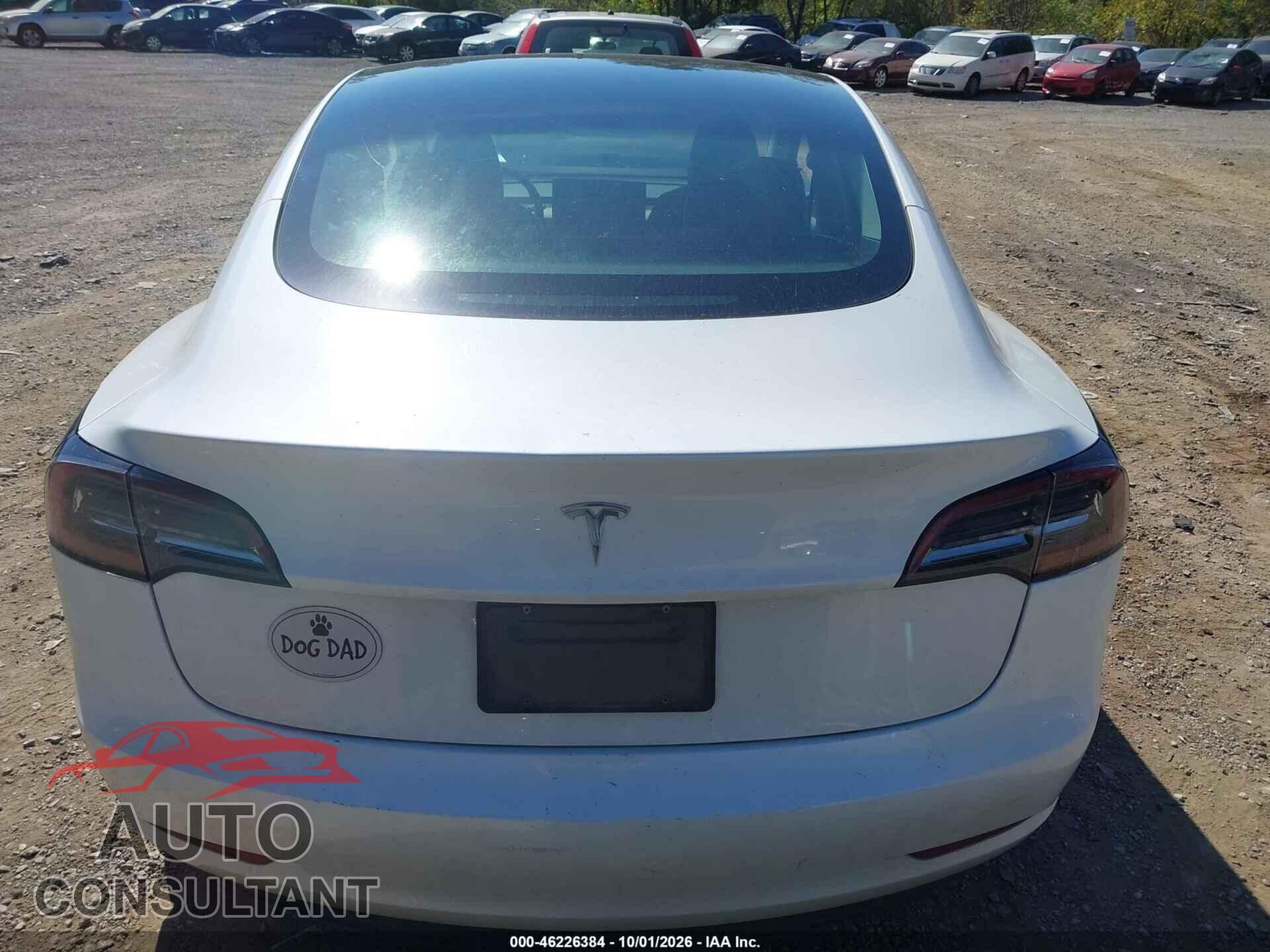 TESLA MODEL 3 2023 - 5YJ3E1EA5PF451829