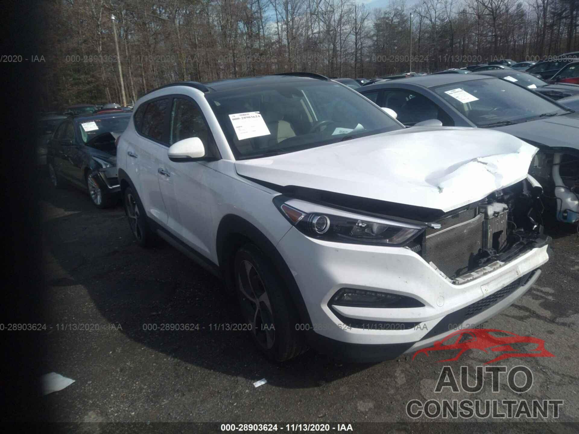 HYUNDAI TUCSON 2017 - KM8J33A21HU285837
