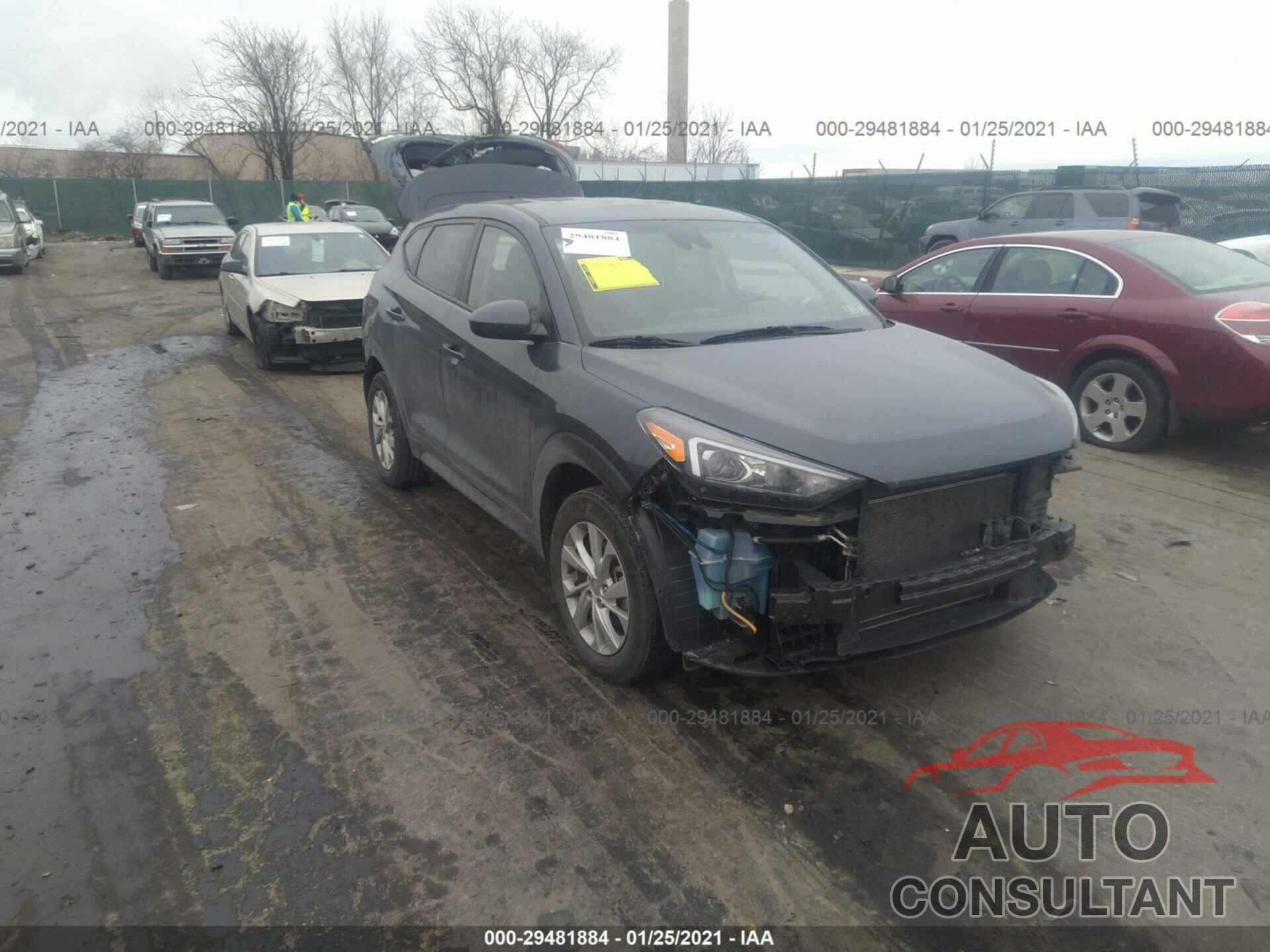 HYUNDAI TUCSON 2019 - KM8J2CA49KU894041