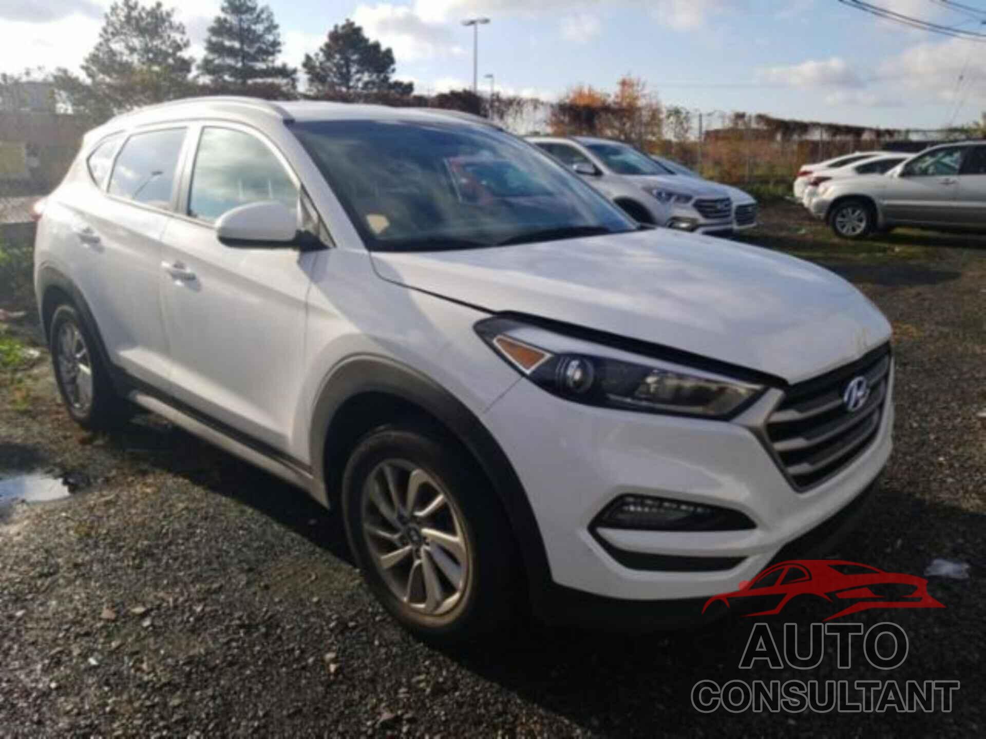HYUNDAI TUCSON 2017 - KM8J3CA4XHU406608