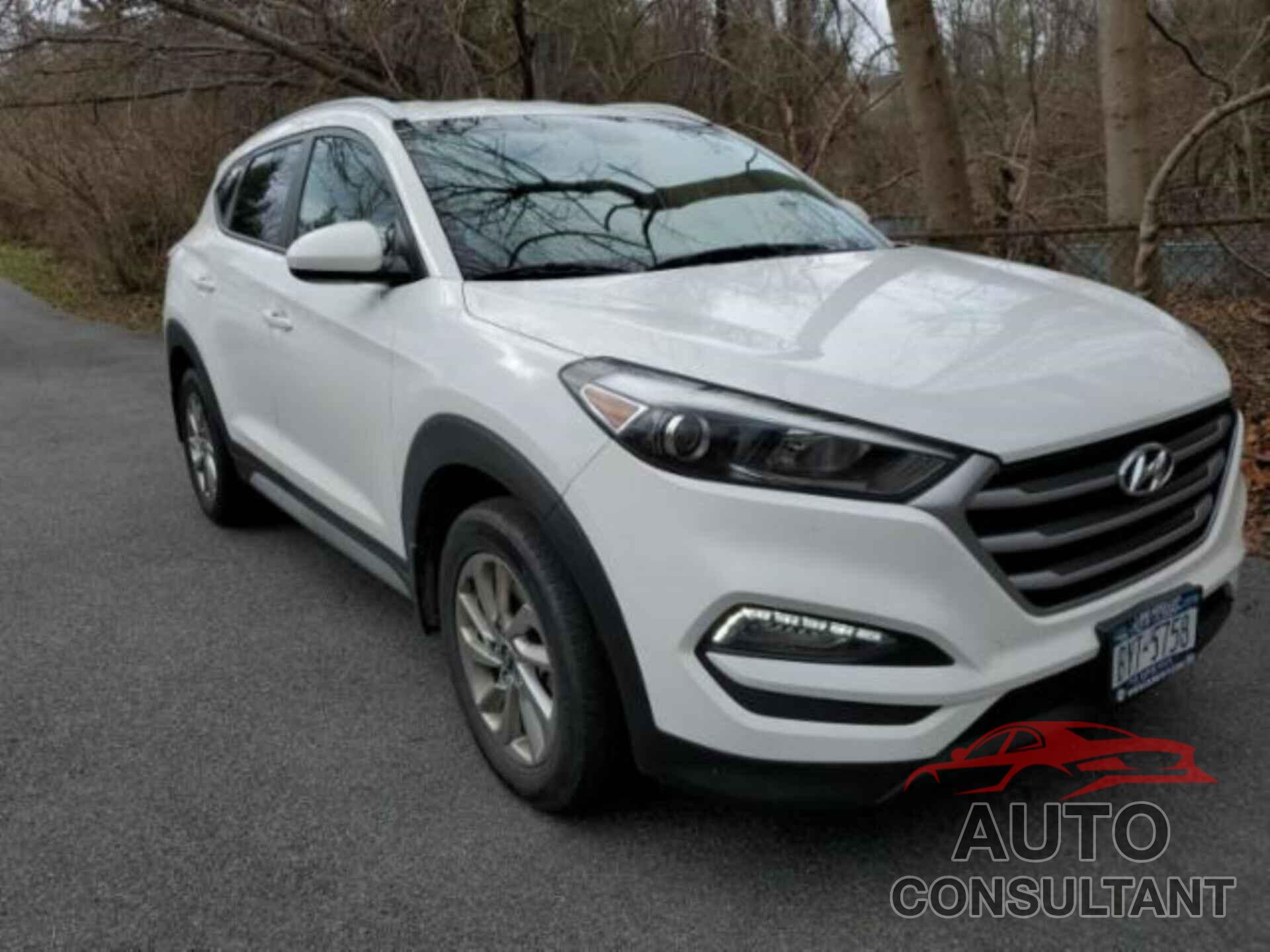 HYUNDAI TUCSON 2017 - KM8J3CA47HU588686