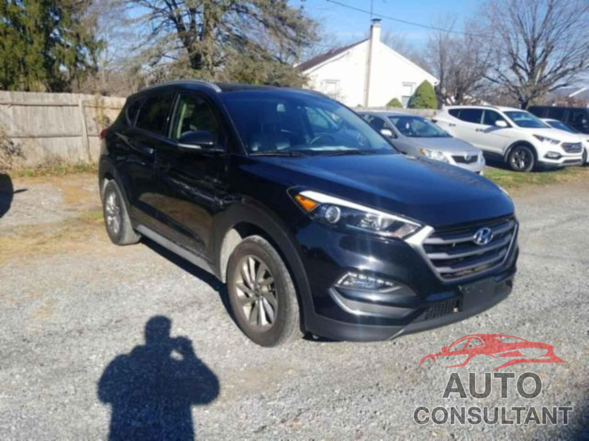 HYUNDAI TUCSON 2017 - KM8J33A48HU413749