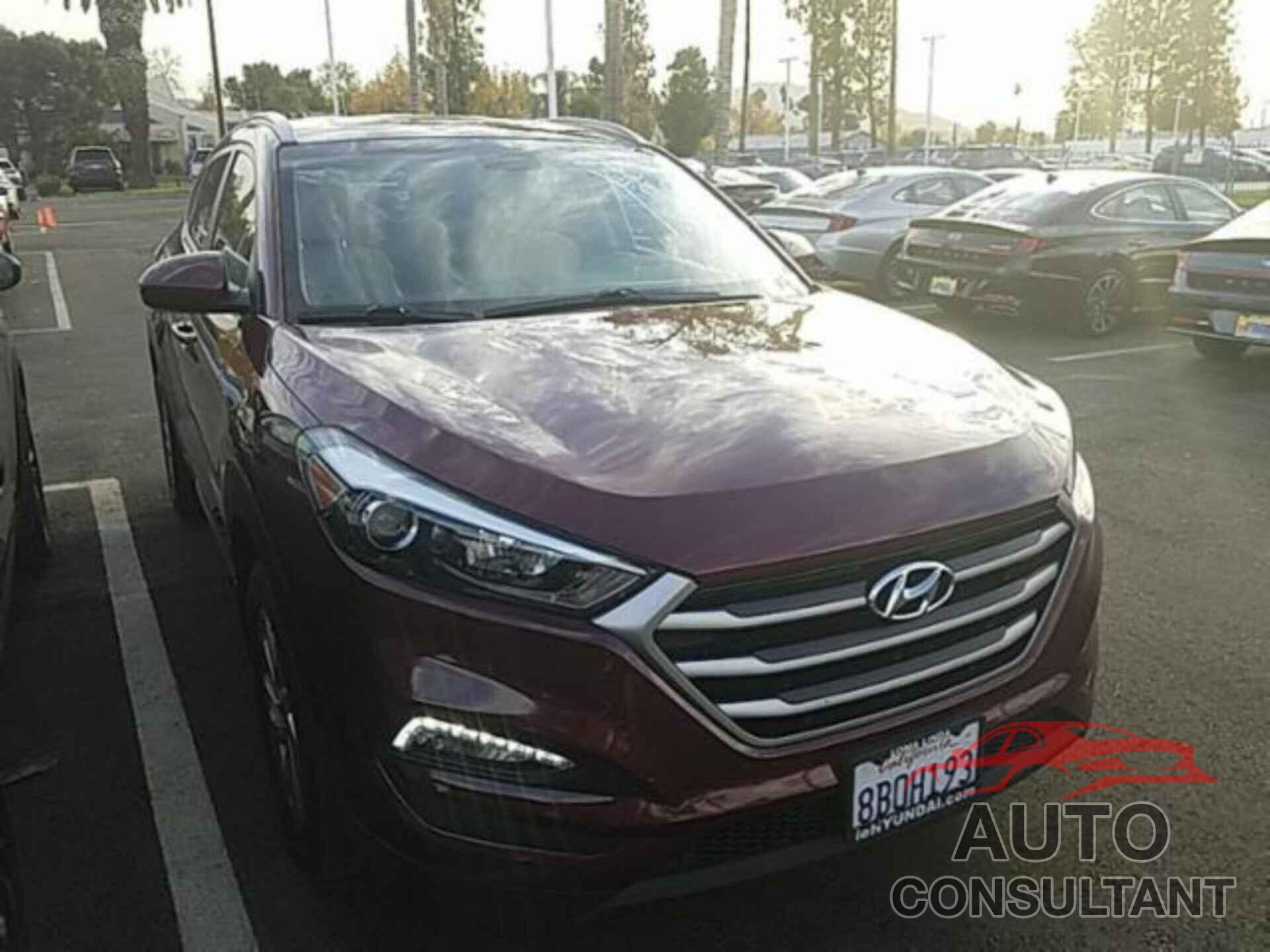 HYUNDAI TUCSON 2017 - KM8J33A44HU595532