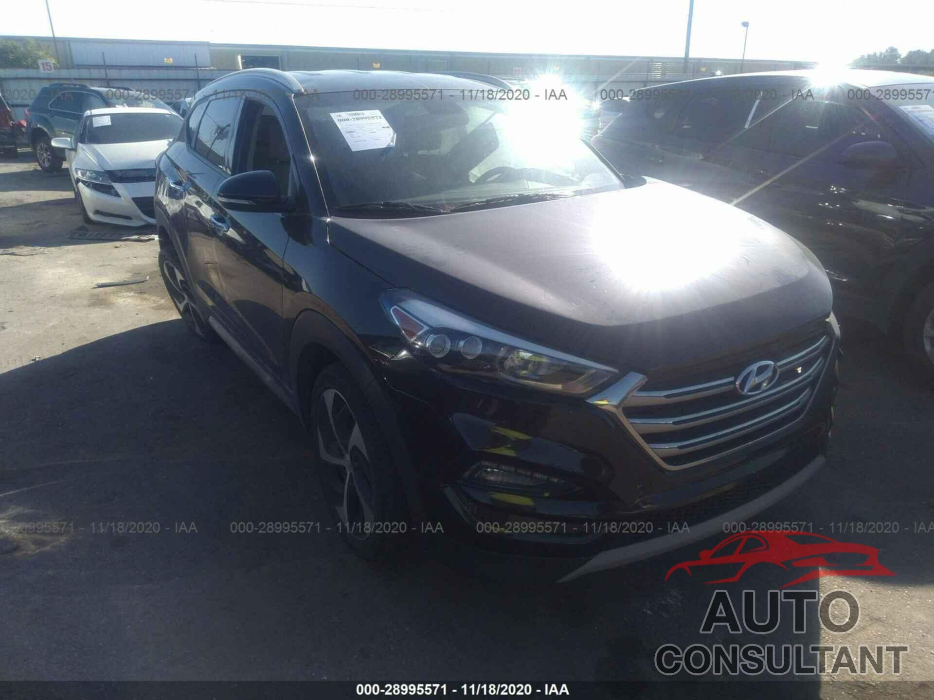 HYUNDAI TUCSON 2017 - KM8J33A25HU351340