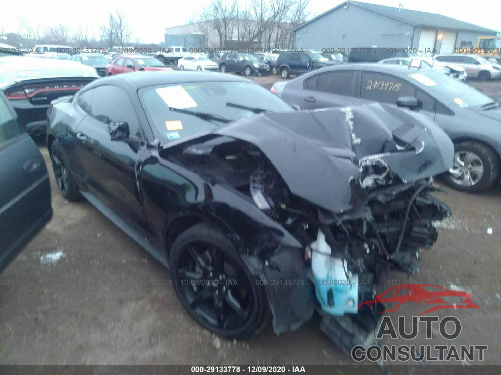 FORD MUSTANG 2019 - 1FA6P8TH4K5167804