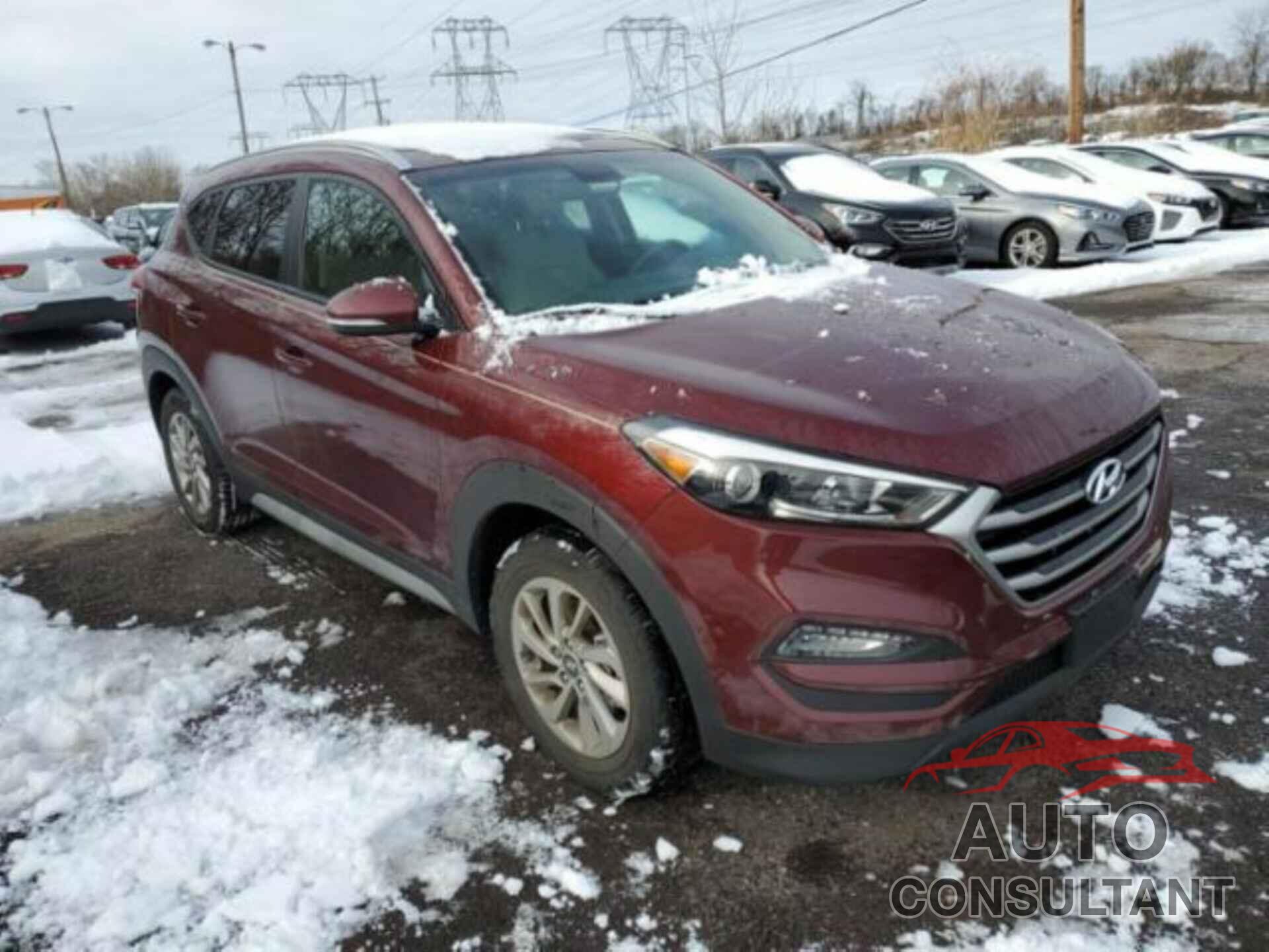 HYUNDAI TUCSON 2017 - KM8J33A44HU414445