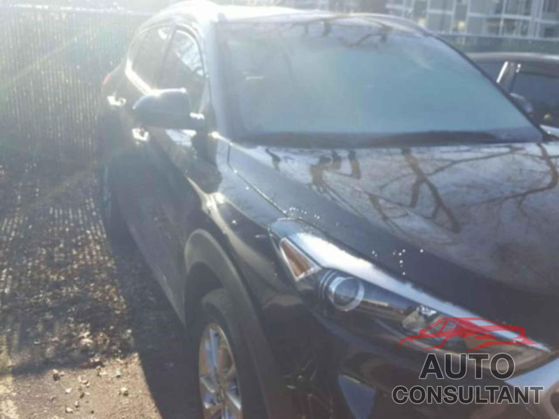 HYUNDAI TUCSON 2017 - KM8J3CA41HU430960