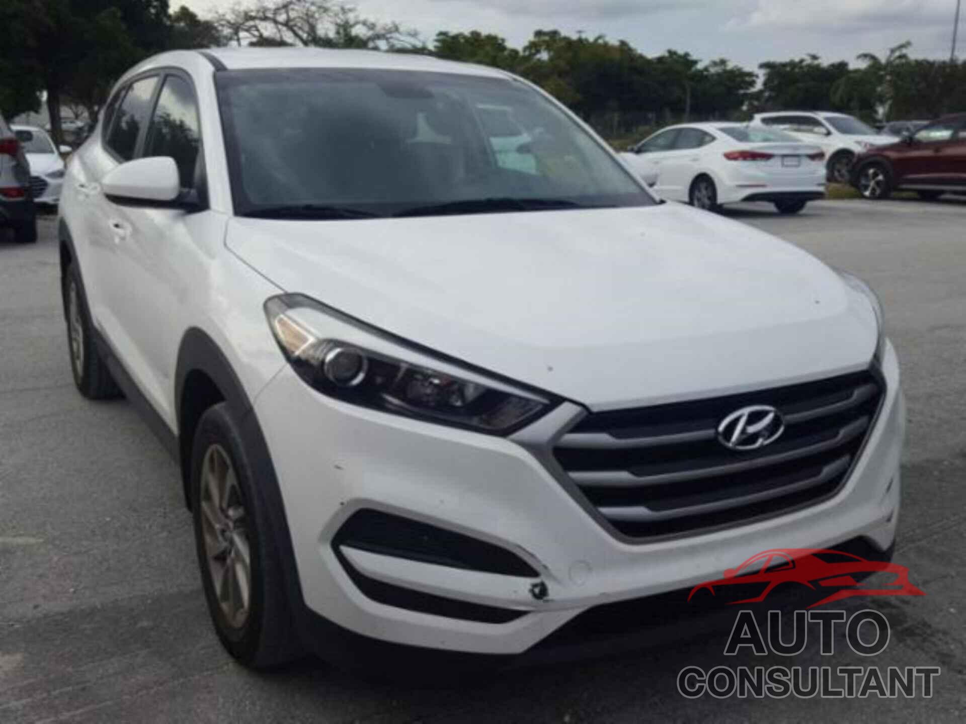HYUNDAI TUCSON 2017 - KM8J23A42HU563889