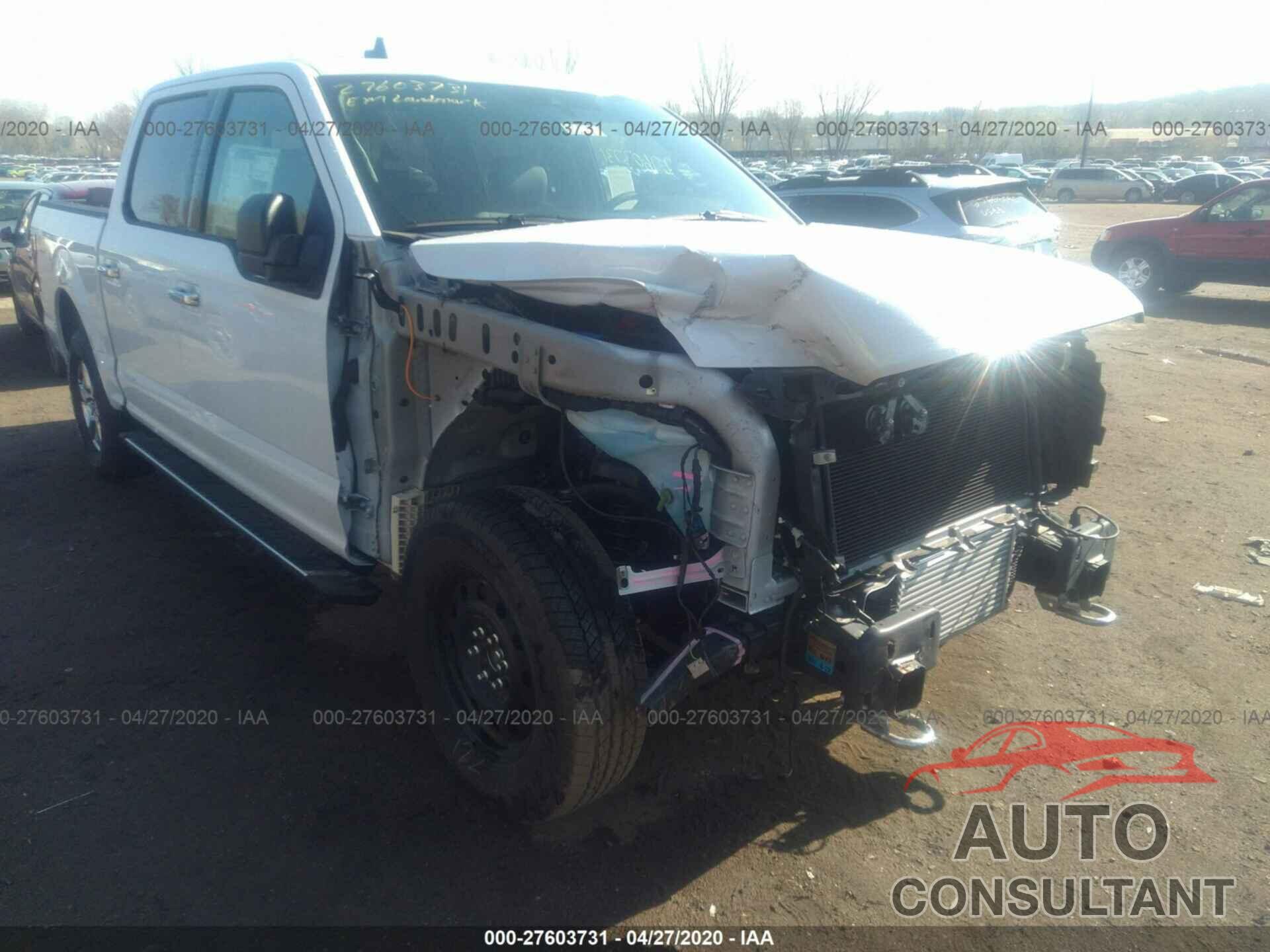 FORD F-150 2019 - 1FTEW1EP7KFC62954