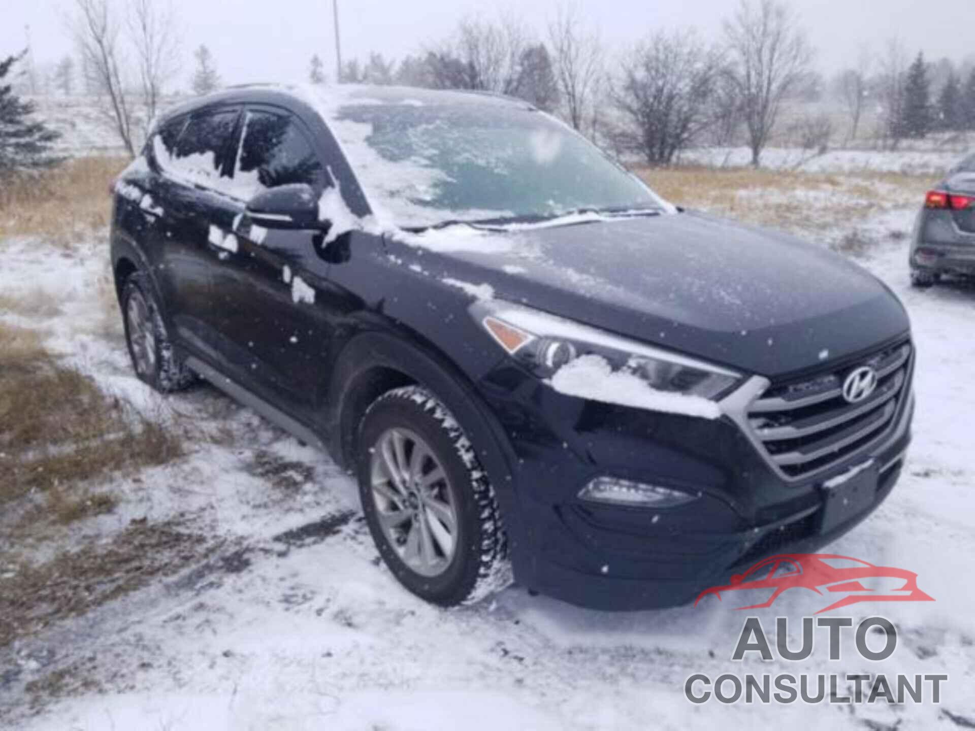 HYUNDAI TUCSON 2017 - KM8J3CA43HU493770
