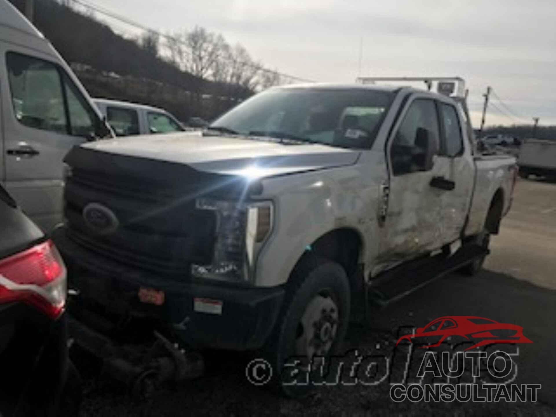 FORD SUPER DUTY F-250 SRW 2019 - 1FT7X2B63KEE91659