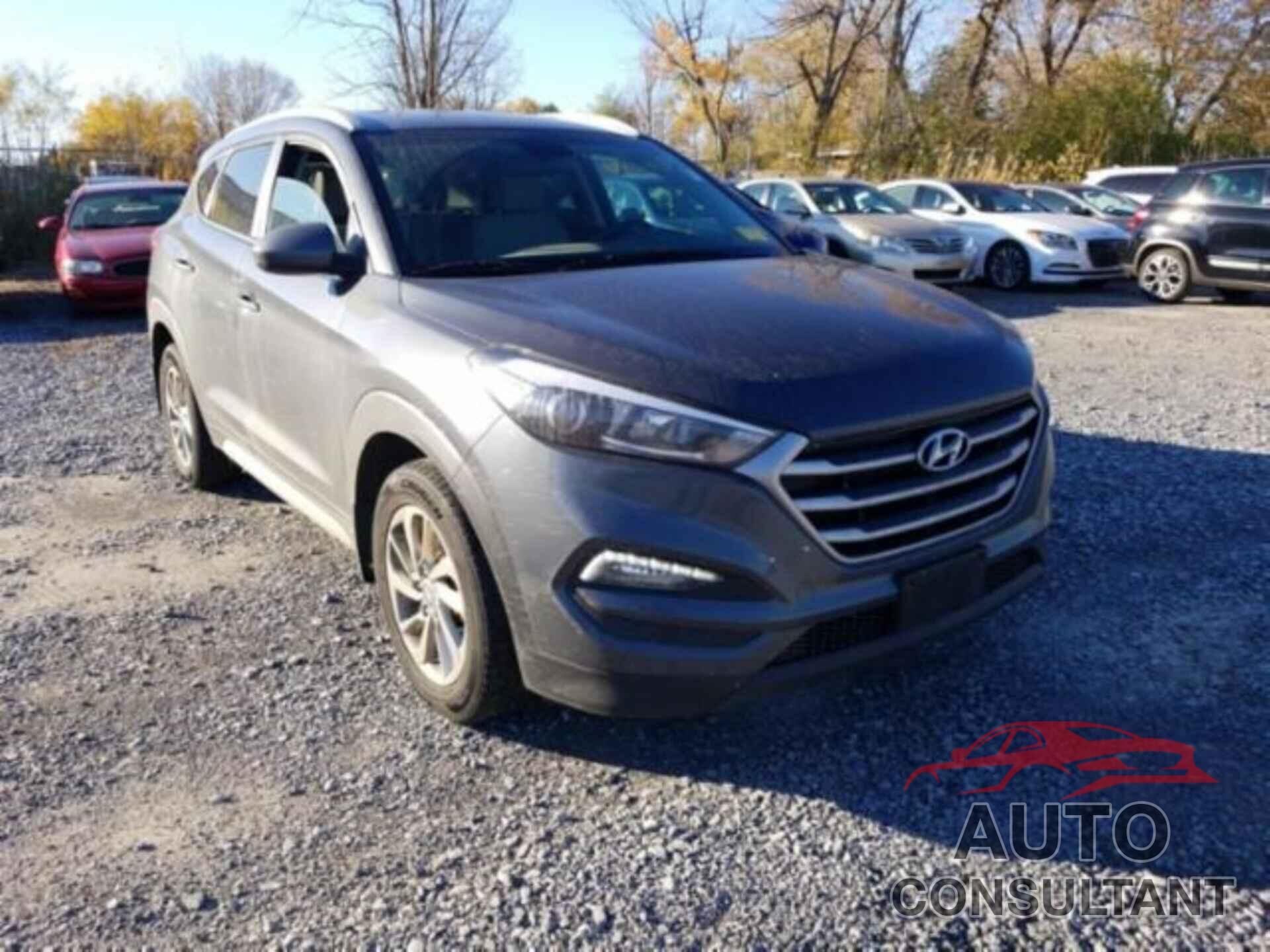 HYUNDAI TUCSON 2017 - KM8J3CA44HU574504