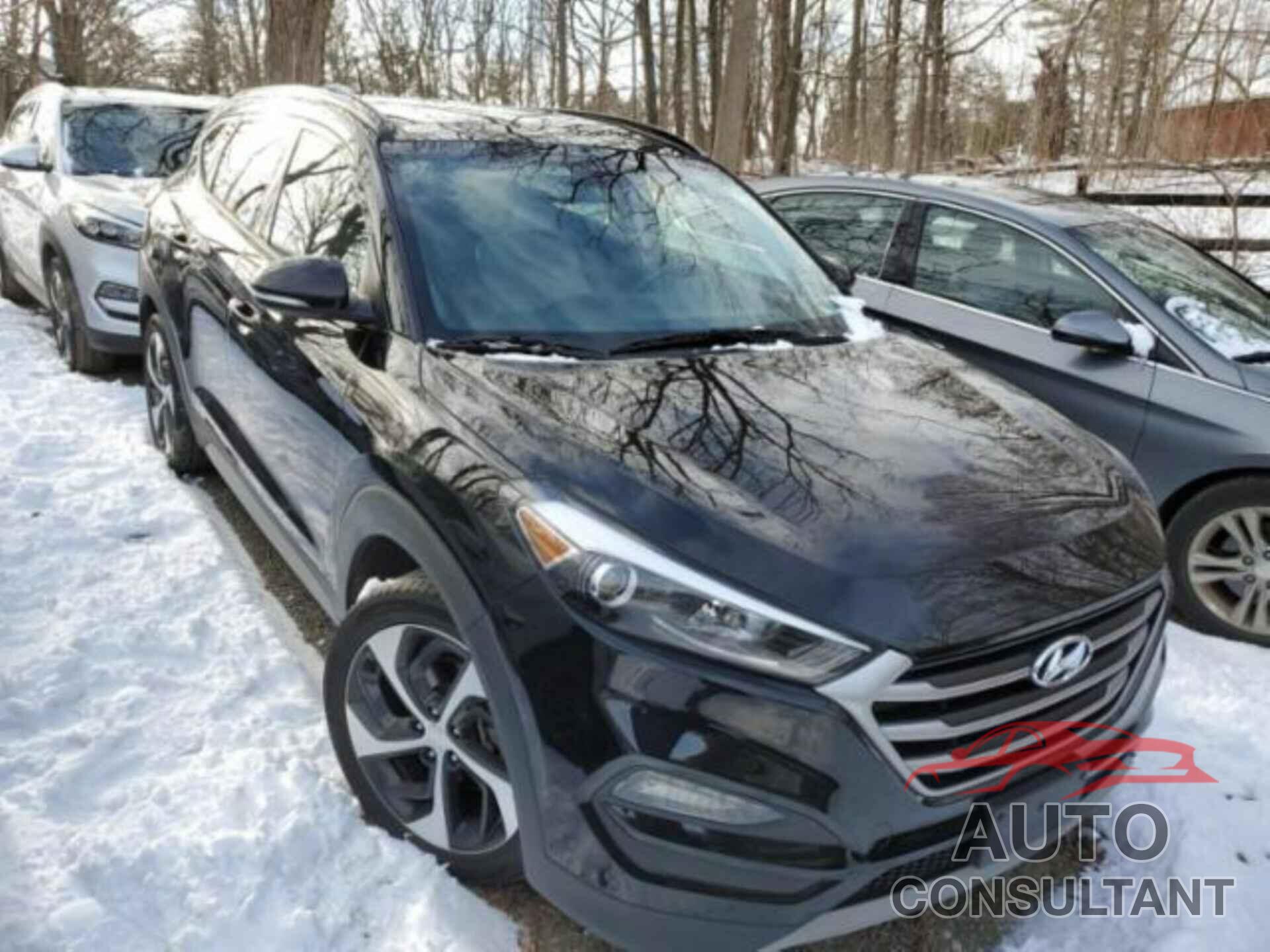 HYUNDAI TUCSON 2017 - KM8J3CA29HU567689