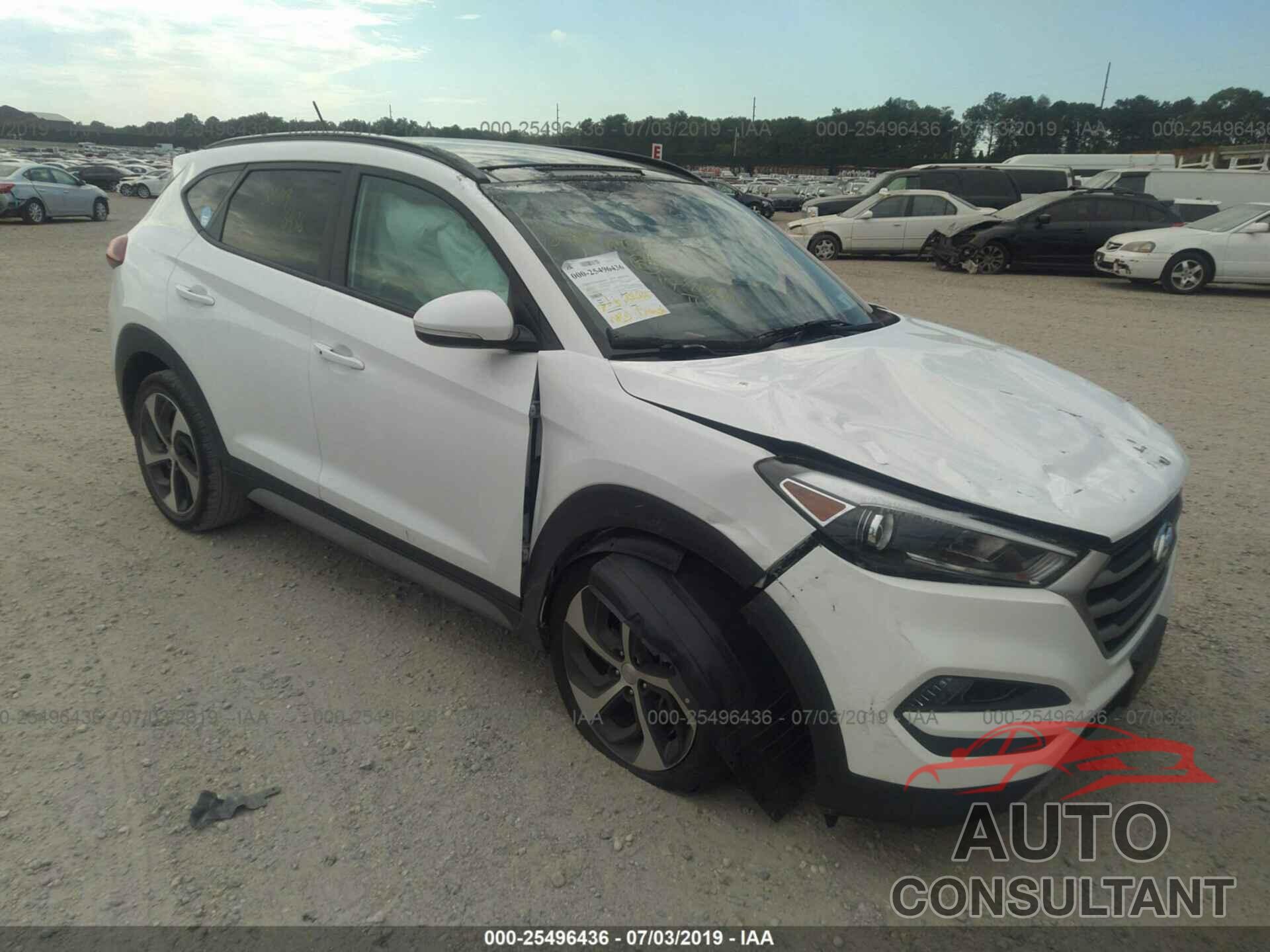 HYUNDAI TUCSON 2017 - KM8J3CA21HU568206