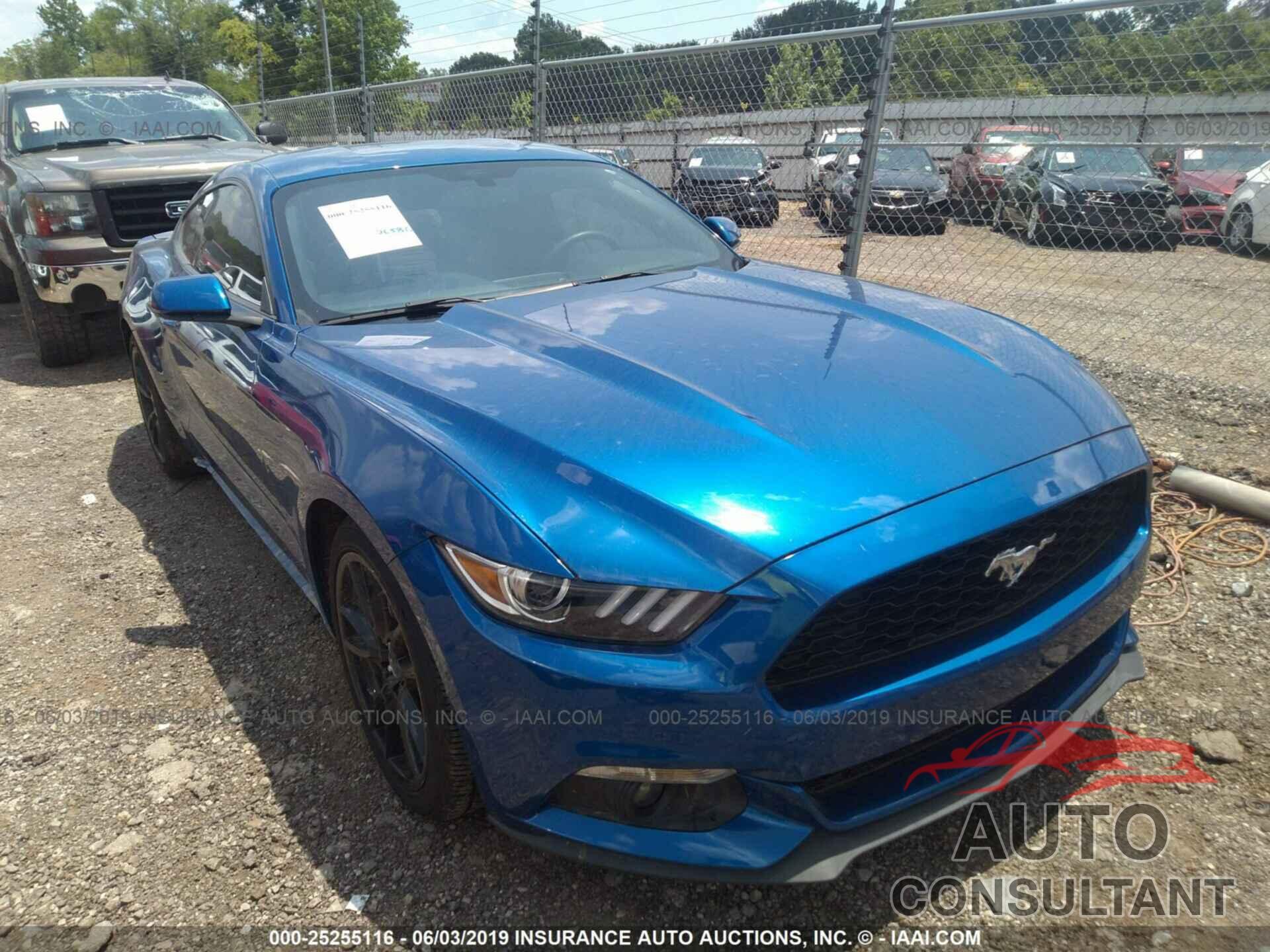 FORD MUSTANG 2017 - 1FA6P8TH1H5244282