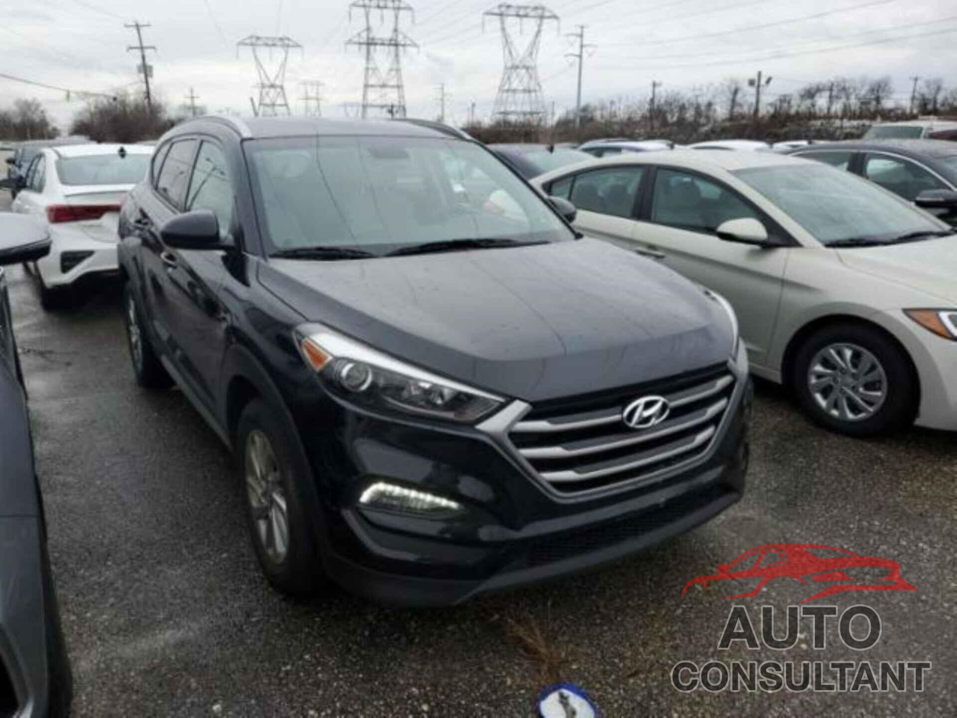 HYUNDAI TUCSON 2017 - KM8J3CA41HU566070