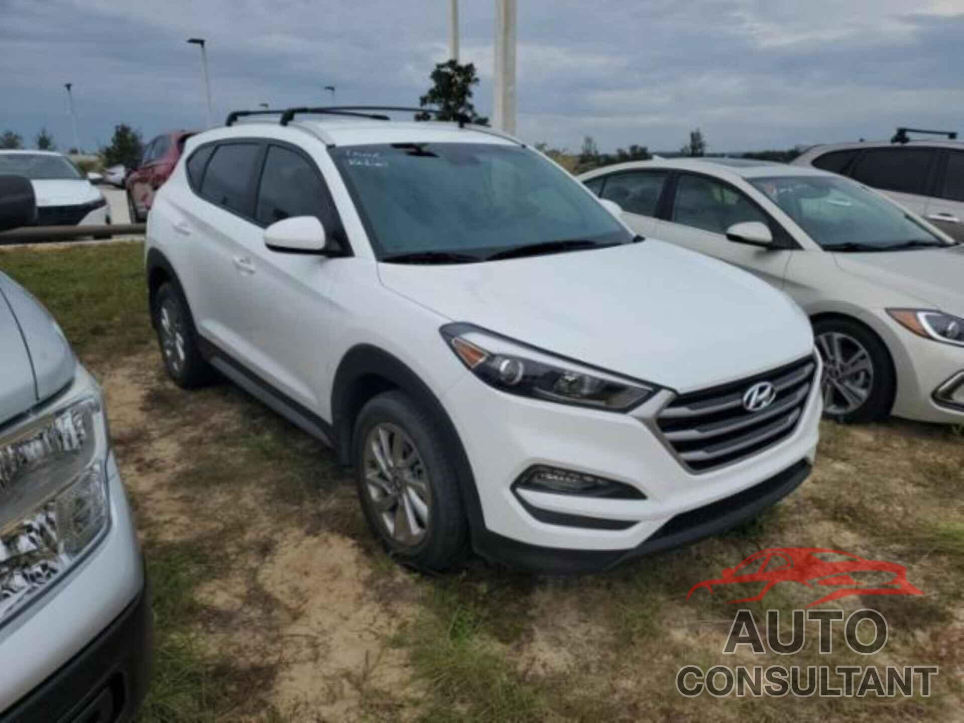 HYUNDAI TUCSON 2017 - KM8J33A47HU554764