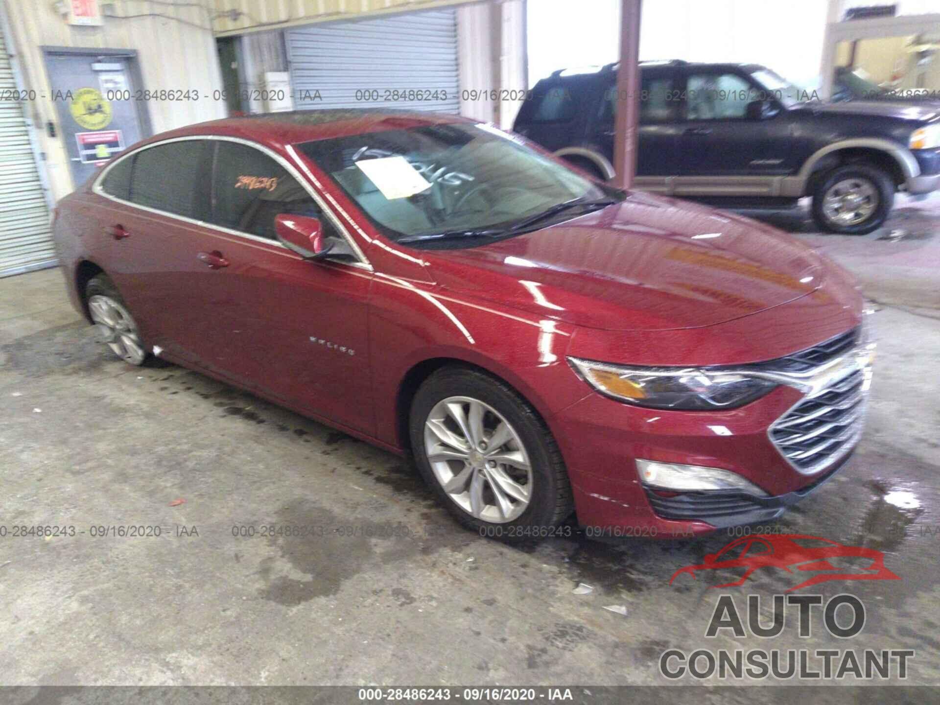 2019 MALIBU CHEVROLET