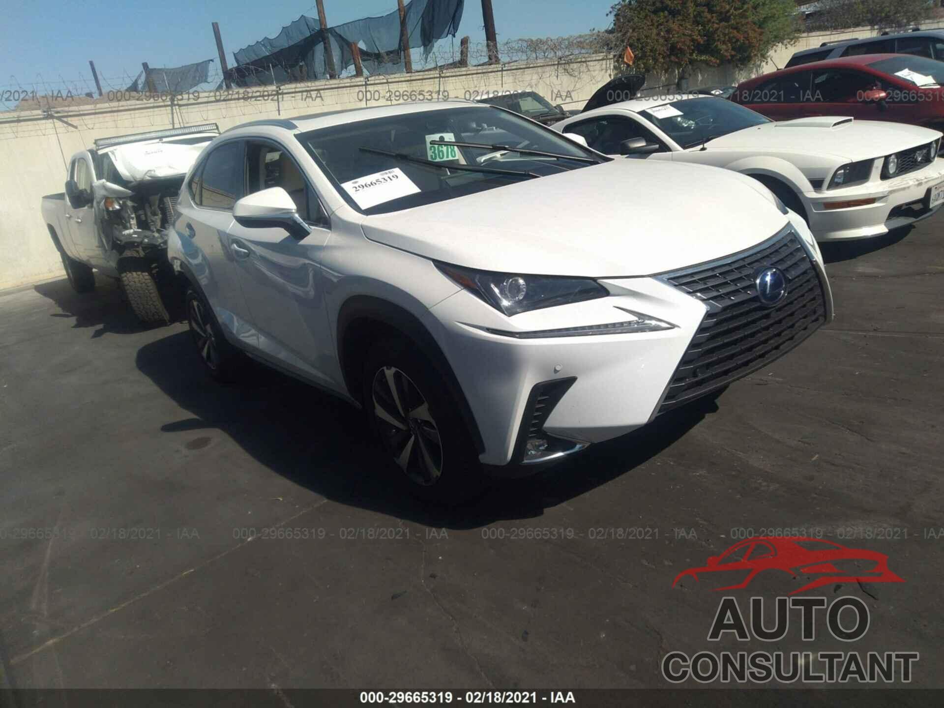 LEXUS NX 2019 - JTJBJRBZ7K2115351