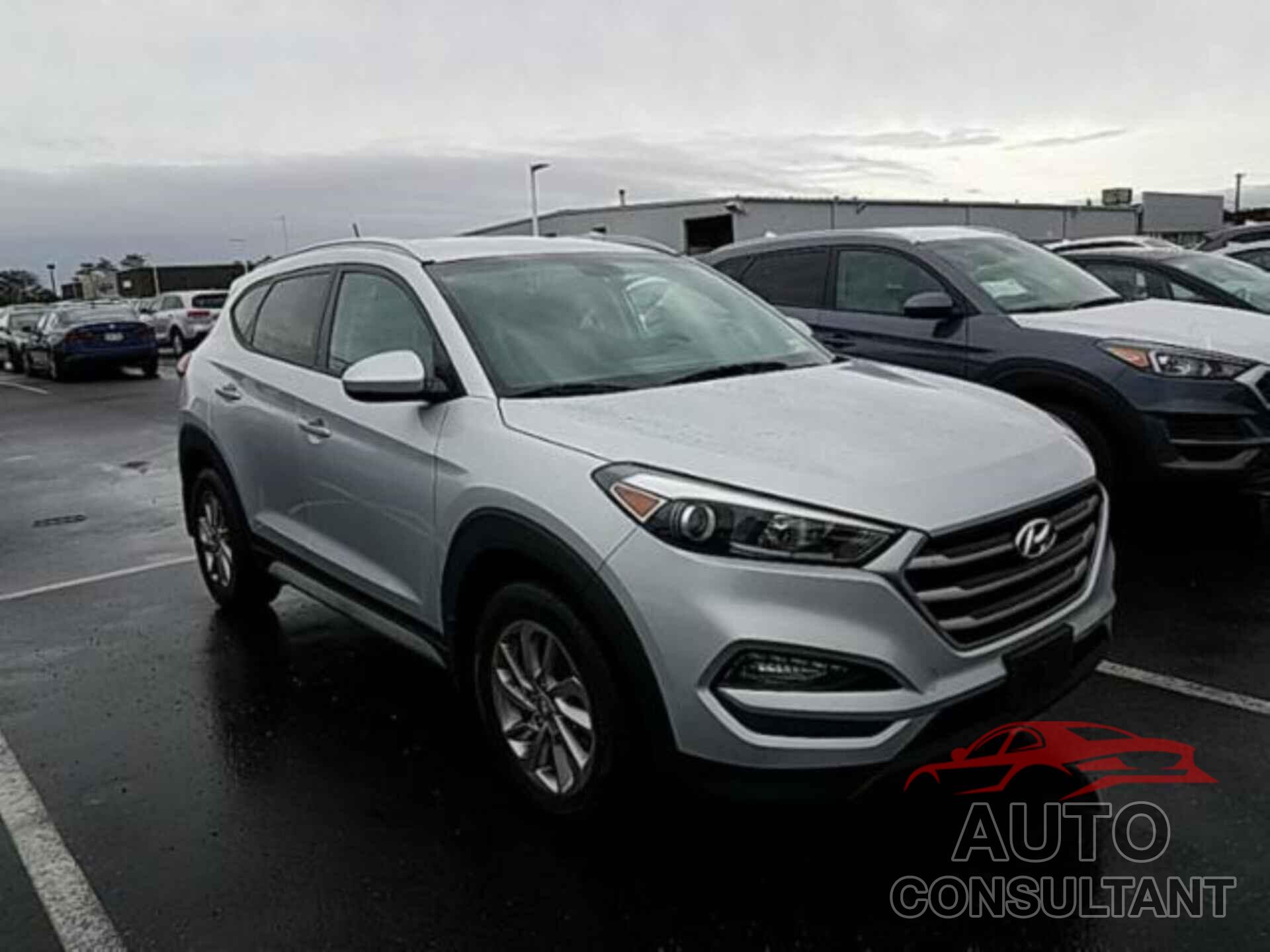 HYUNDAI TUCSON 2017 - KM8J3CA44HU521317