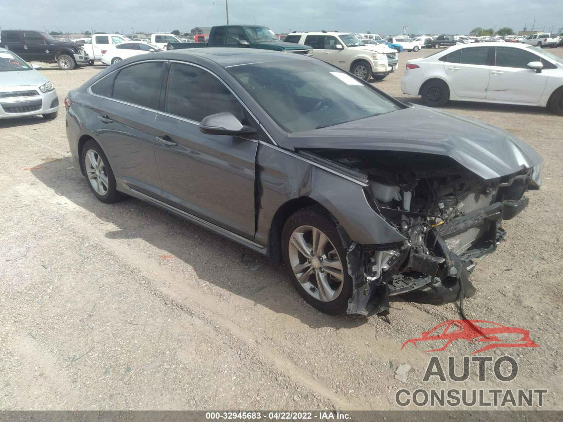 HYUNDAI SONATA 2019 - 5NPE34AF0KH774956