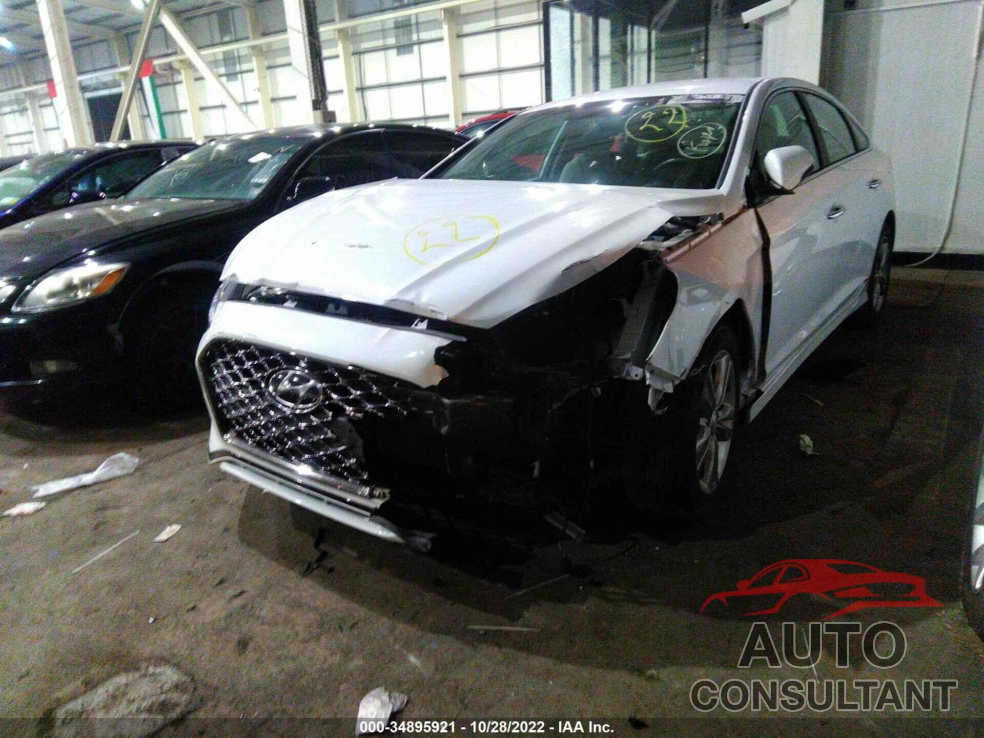 HYUNDAI SONATA 2019 - 00PE34AF7KH781631