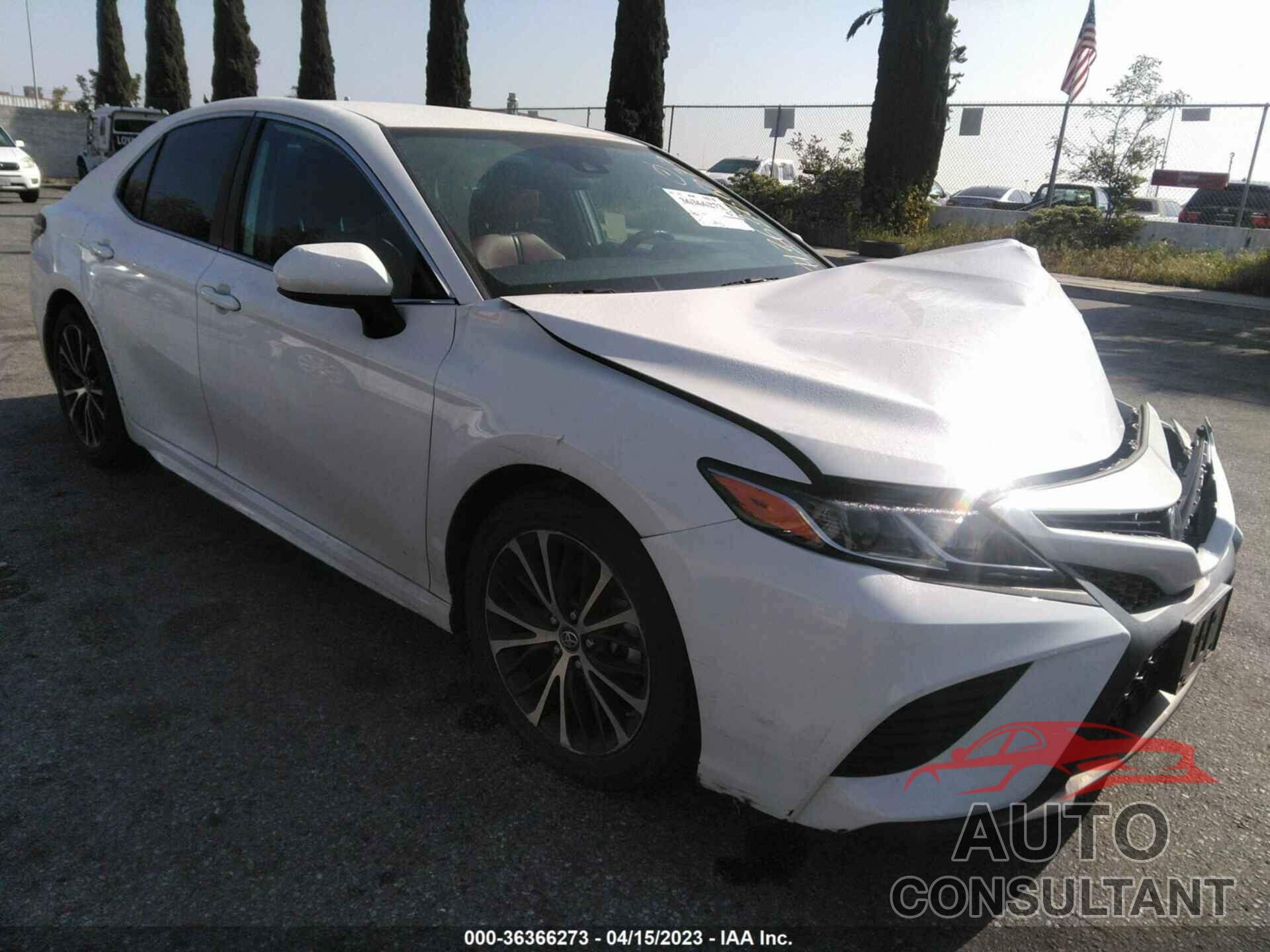 TOYOTA CAMRY 2019 - 4T1B11HK9KU165974